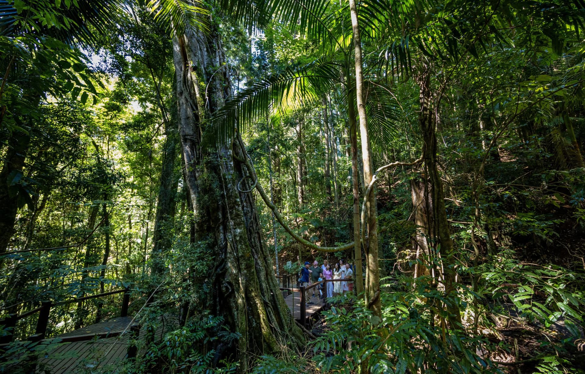 Gold Coast Full-Day Tour From Brisbane - სურათი 8