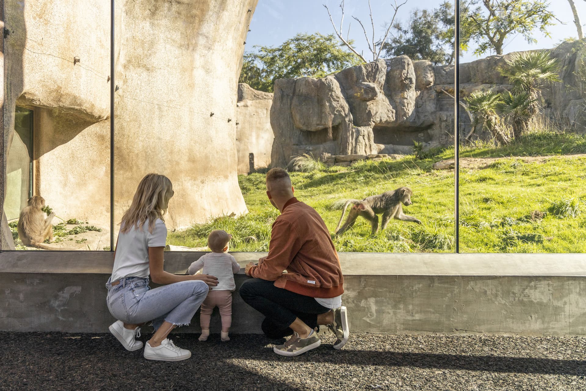Go City San Diego Explorer Pass: Save up to 50% on Attractions - სურათი 17