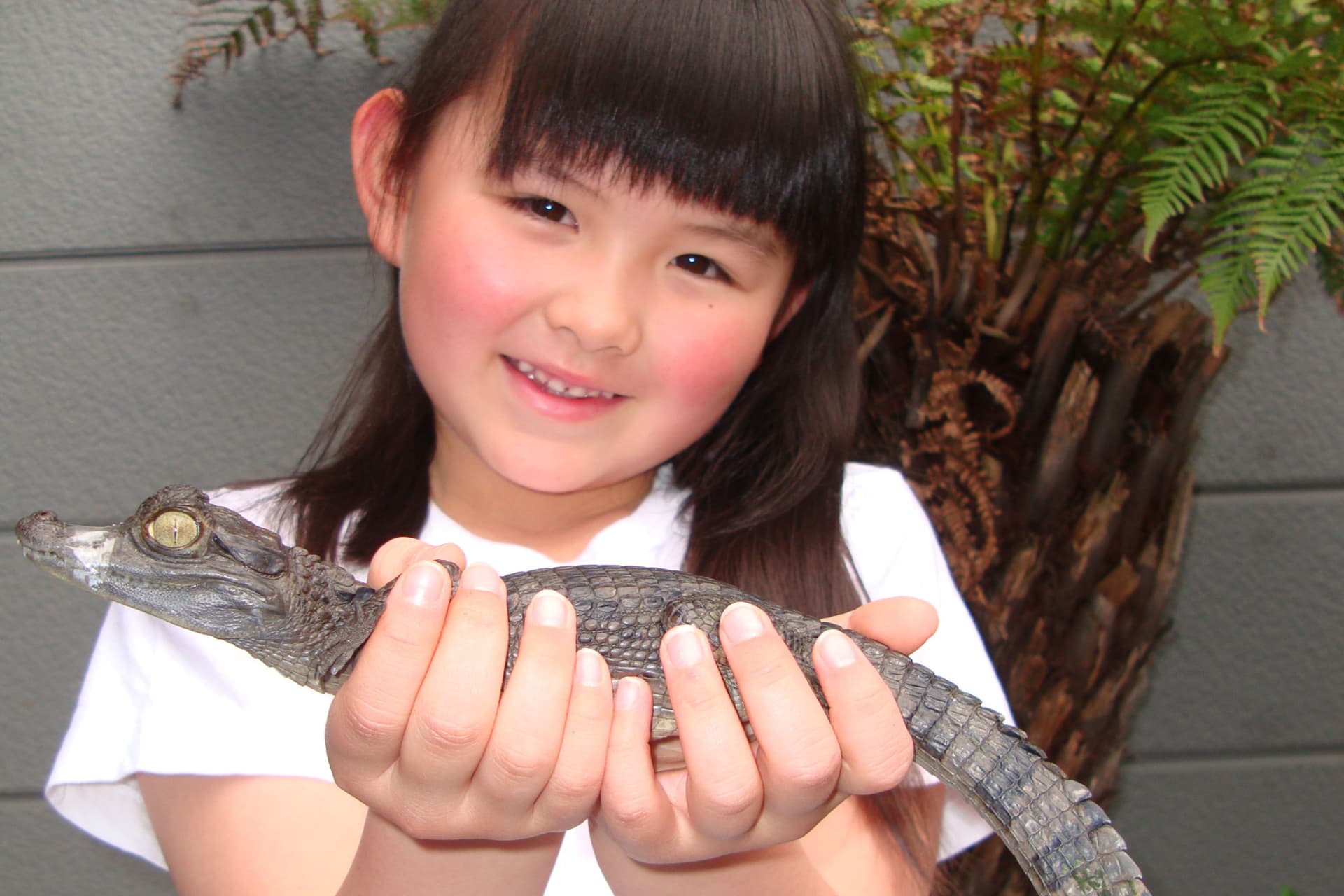 iZoo Sensory Zoo Ticket - სურათი 2