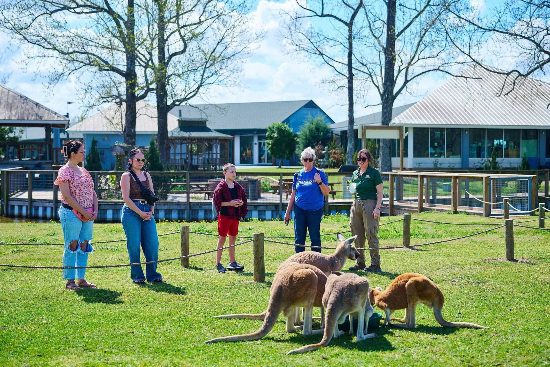 Kangaroo Walkabout Experience - მთავარი სურათი