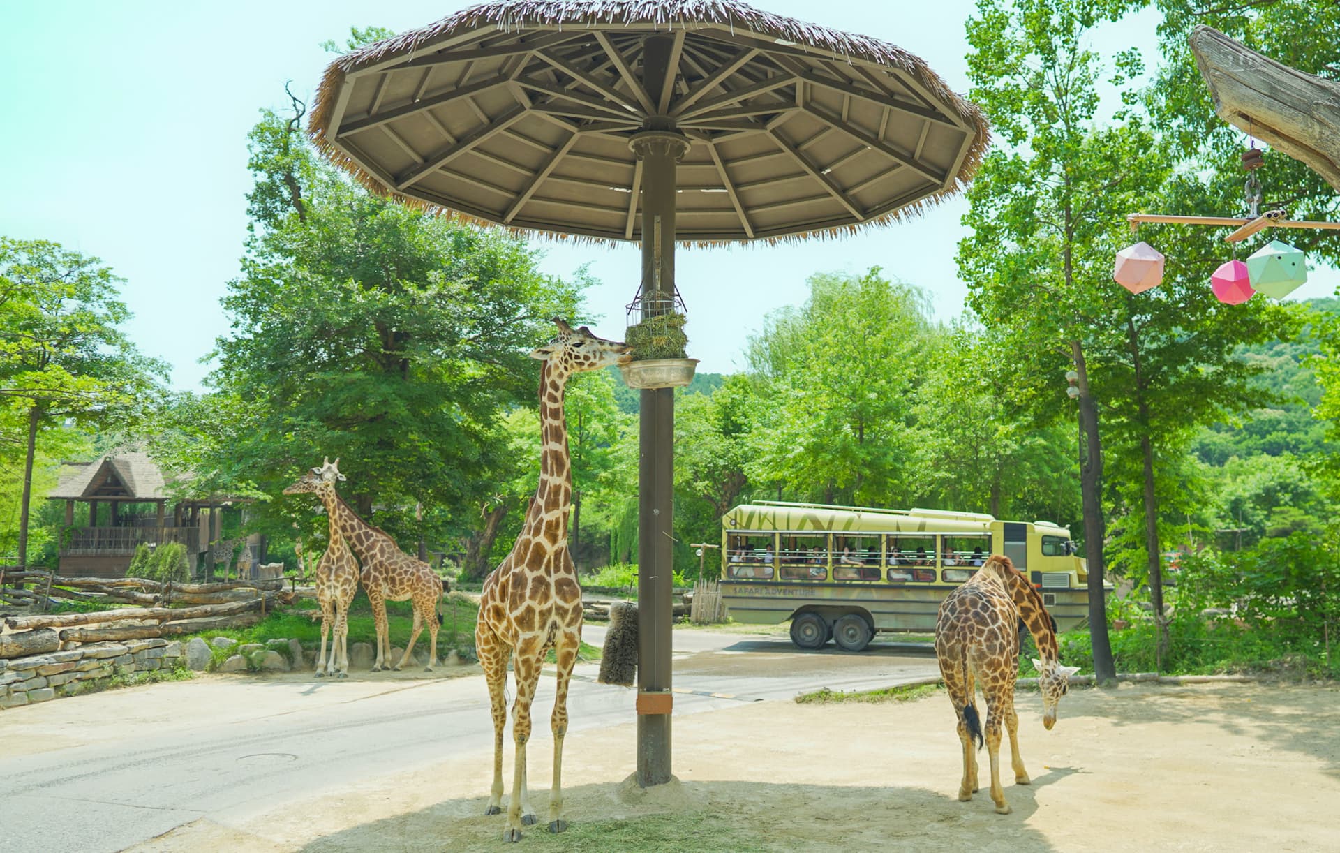 Everland Theme Park with Round Trip Transfers from Seoul - სურათი 16