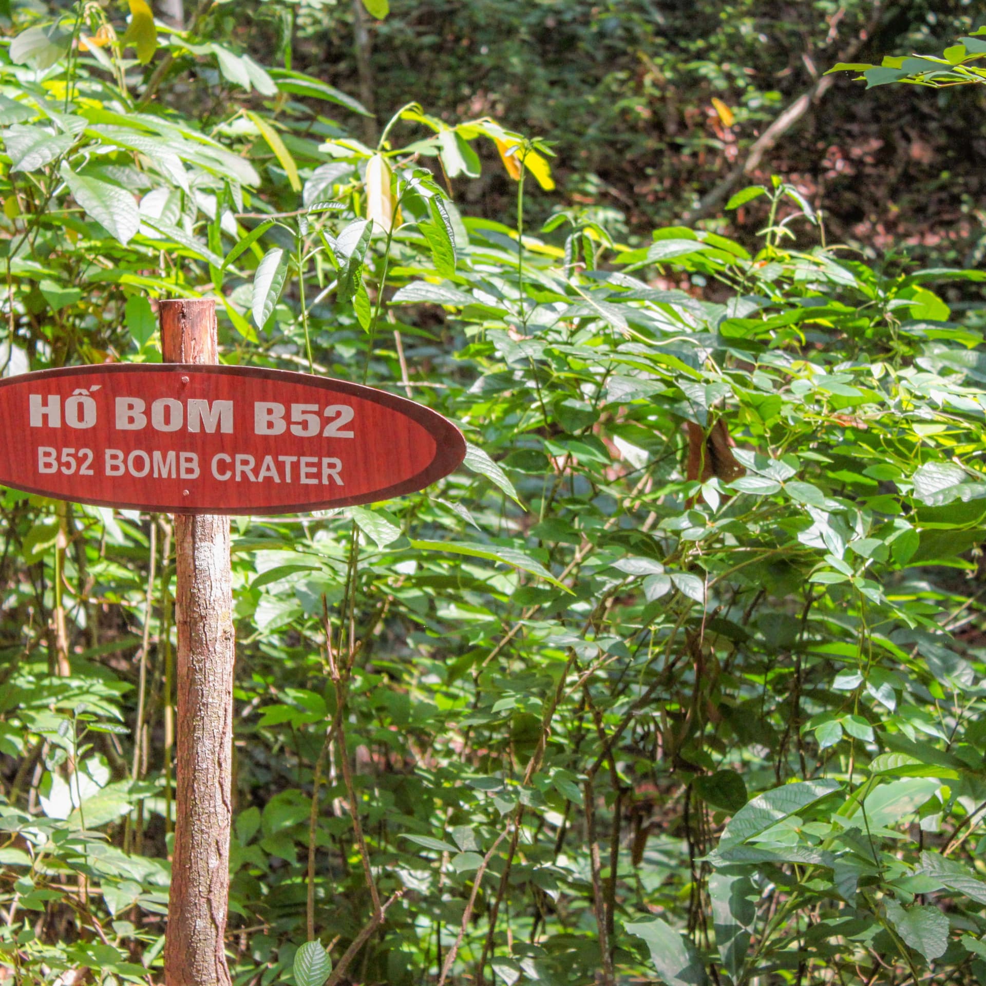 Cu Chi Tunnels and Mekong Delta Full-Day Tour from Ho Chi Minh - სურათი 8