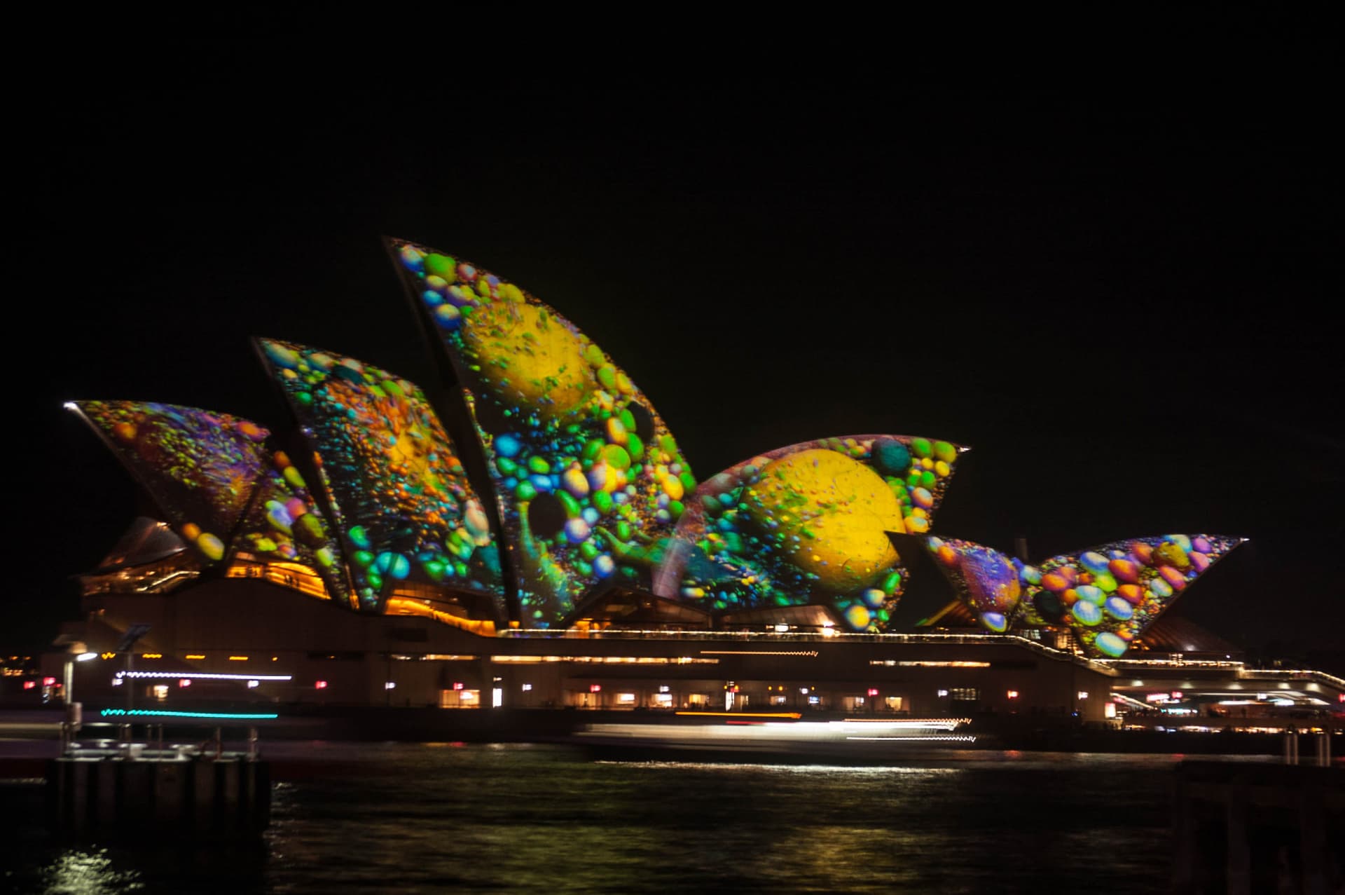 Vivid Festival of Light and Sound Cruise with Buffet Dinner aboard Sydney Princess Cruises - სურათი 8