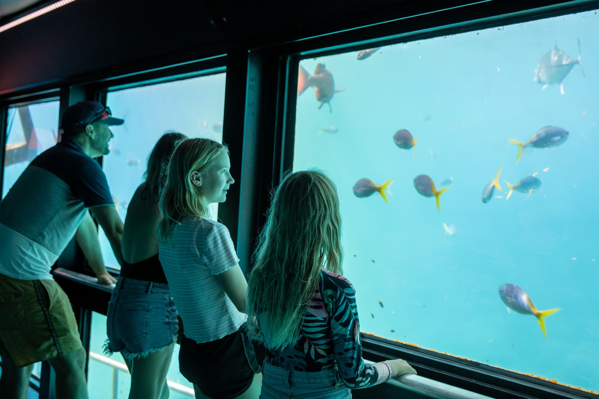 Reef Magic Pontoon Tour from Cairns - სურათი 3
