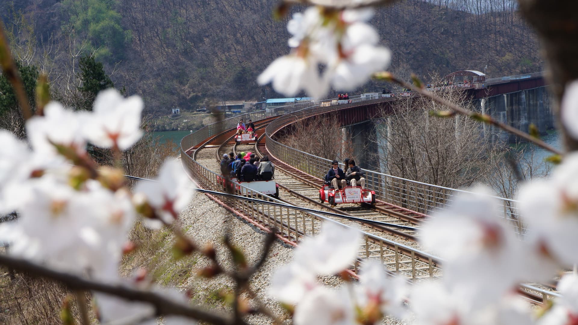 Nami Island, Petite France, Italian Village, and Gangchon Rail Bike Tour from Seoul - მთავარი სურათი