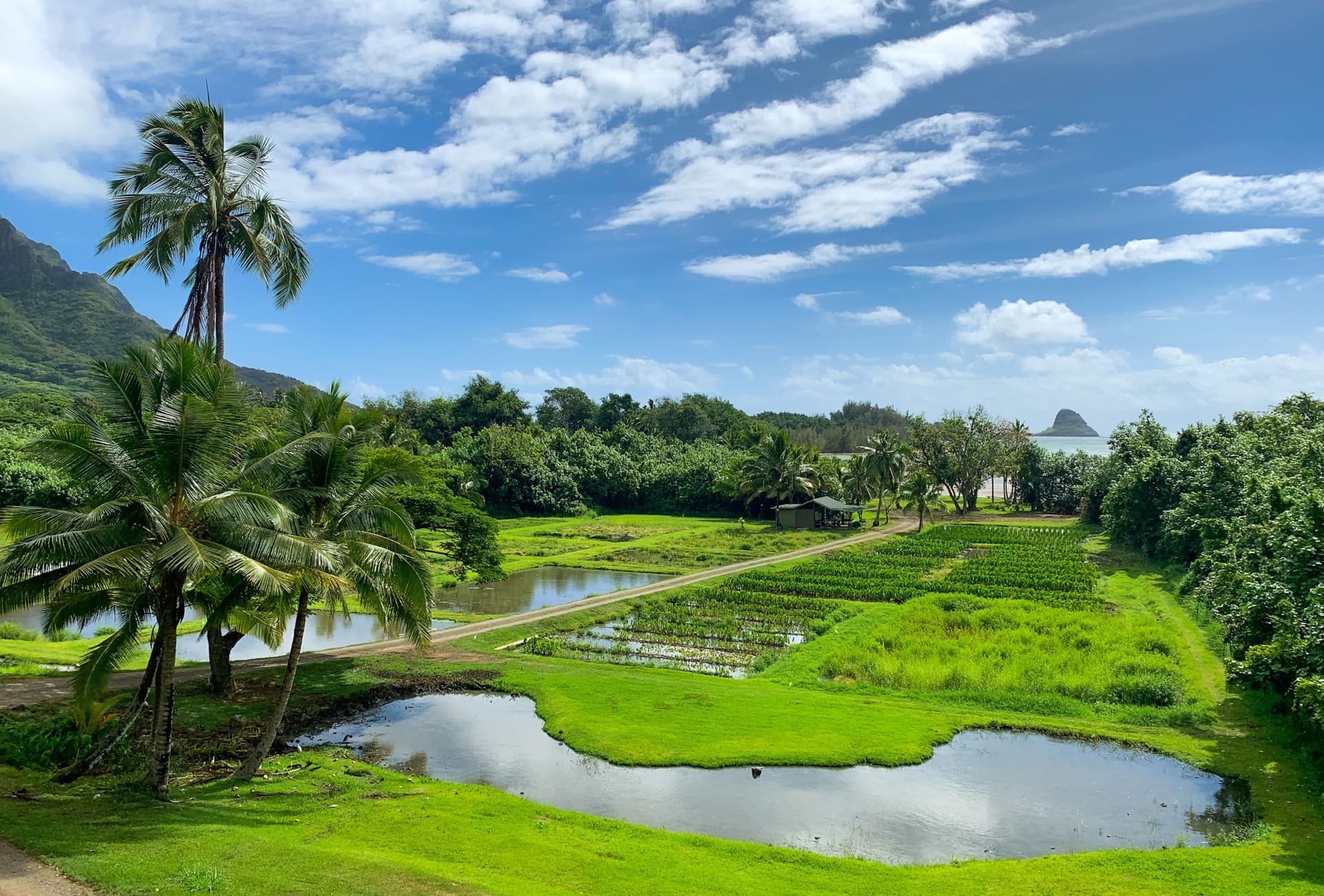 Go City Oahu All-Inclusive Pass: Save up to 50% on Attractions - სურათი 15