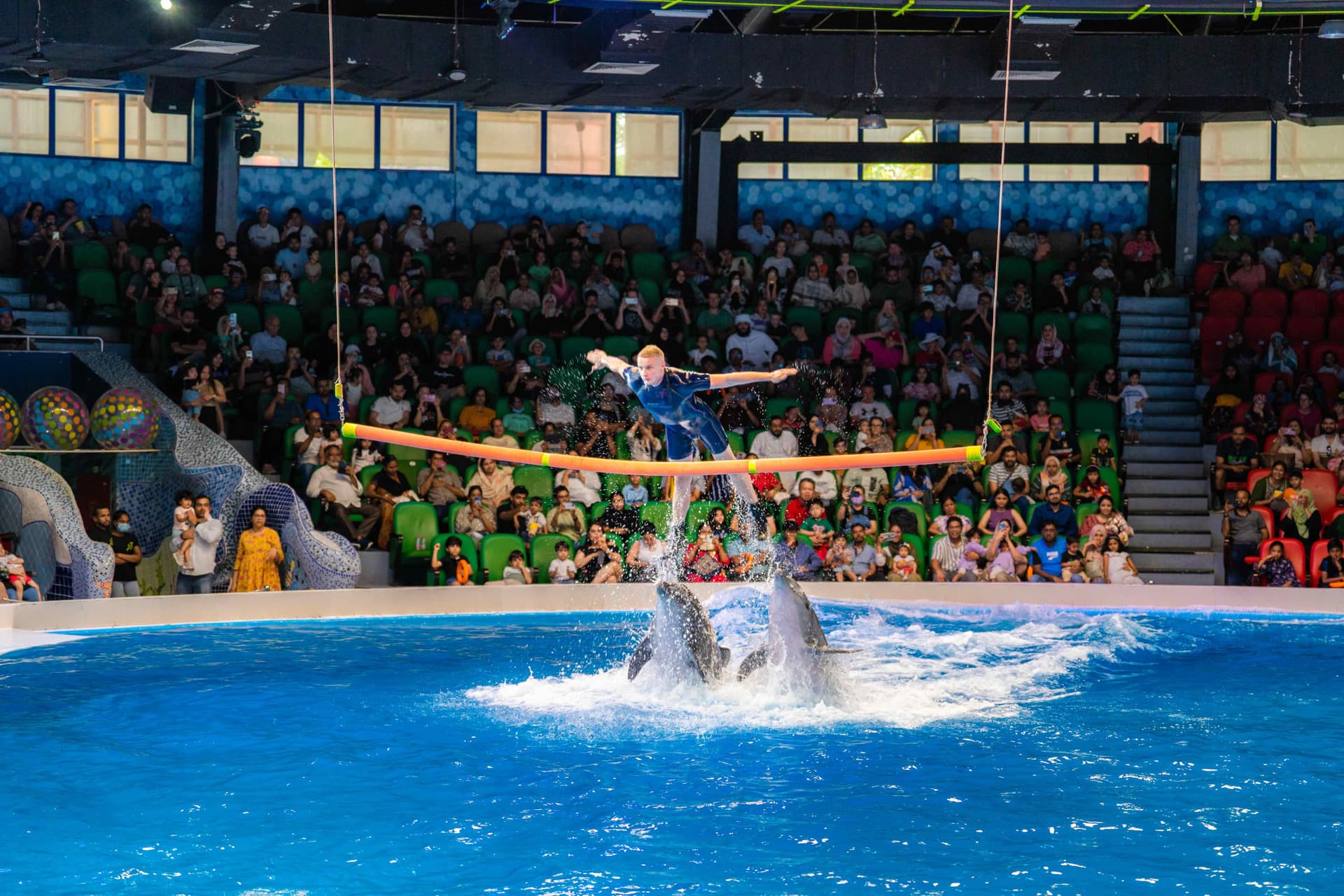 Dubai Dolphinarium Ticket - სურათი 8