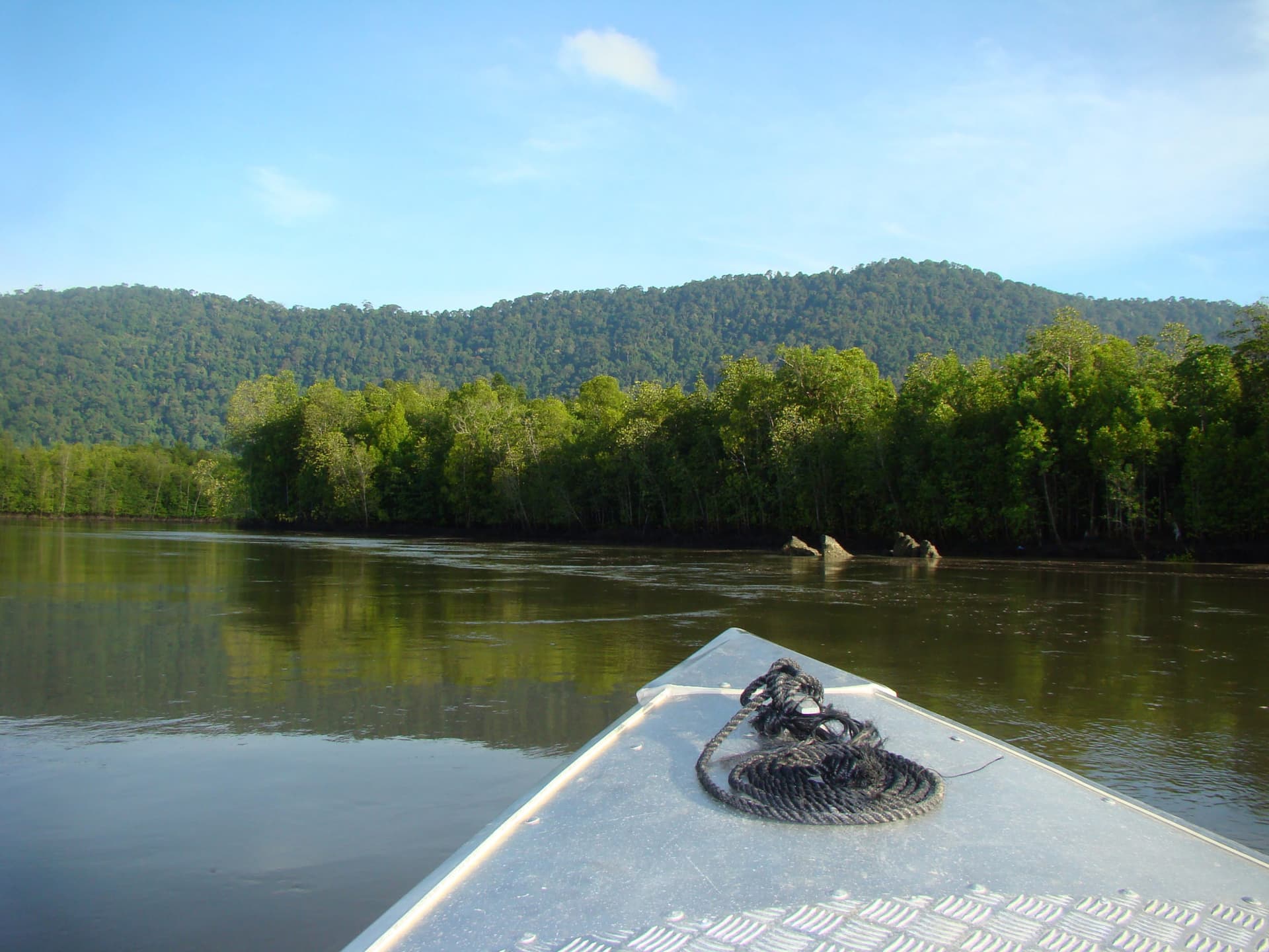 Langkawi Mangrove River Cruise and Snorkeling - მთავარი სურათი