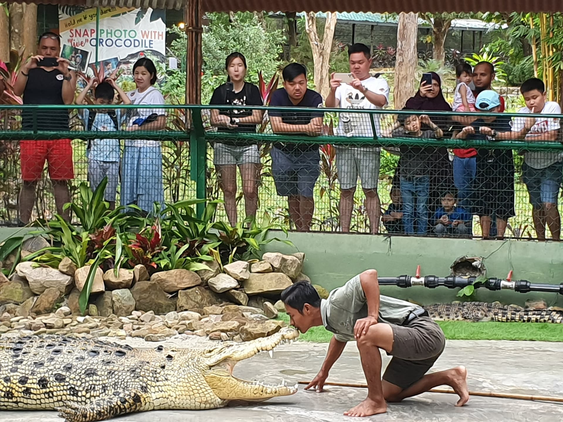 Crocodile Adventureland Langkawi - სურათი 5