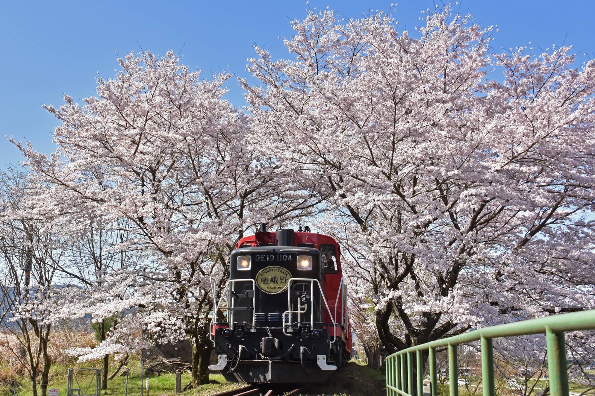 Sagano Romantic Train - სურათი 15