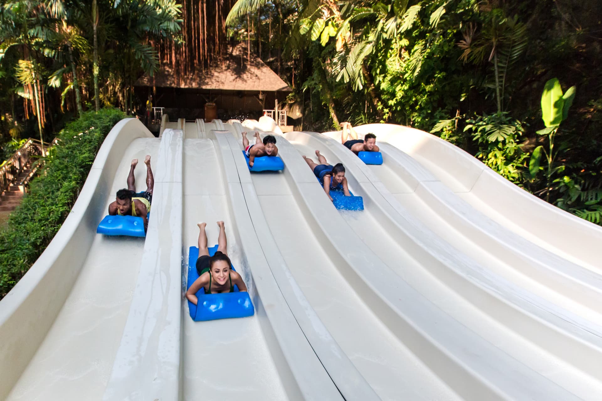 COMBO: Sunway Lagoon Theme Park Ticket + Quack Xpress Pass - სურათი 2