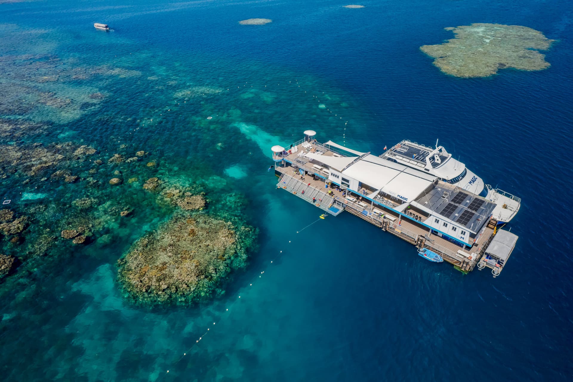 Reef Magic Pontoon Tour from Cairns - სურათი 9