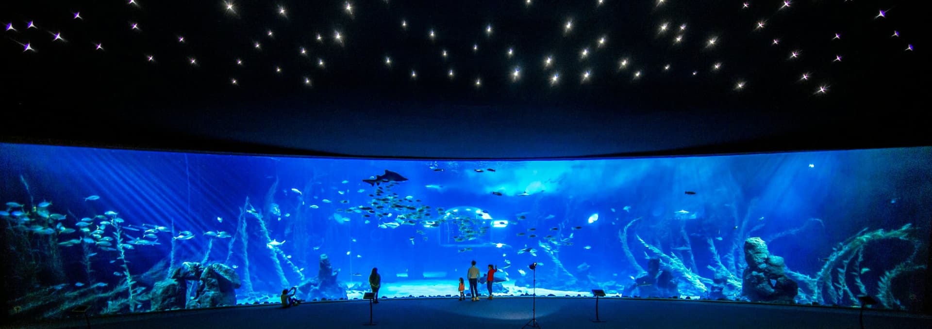 Poema del Mar - Aquarium Gran Canaria: Skip The Line Ticket - სურათი 2