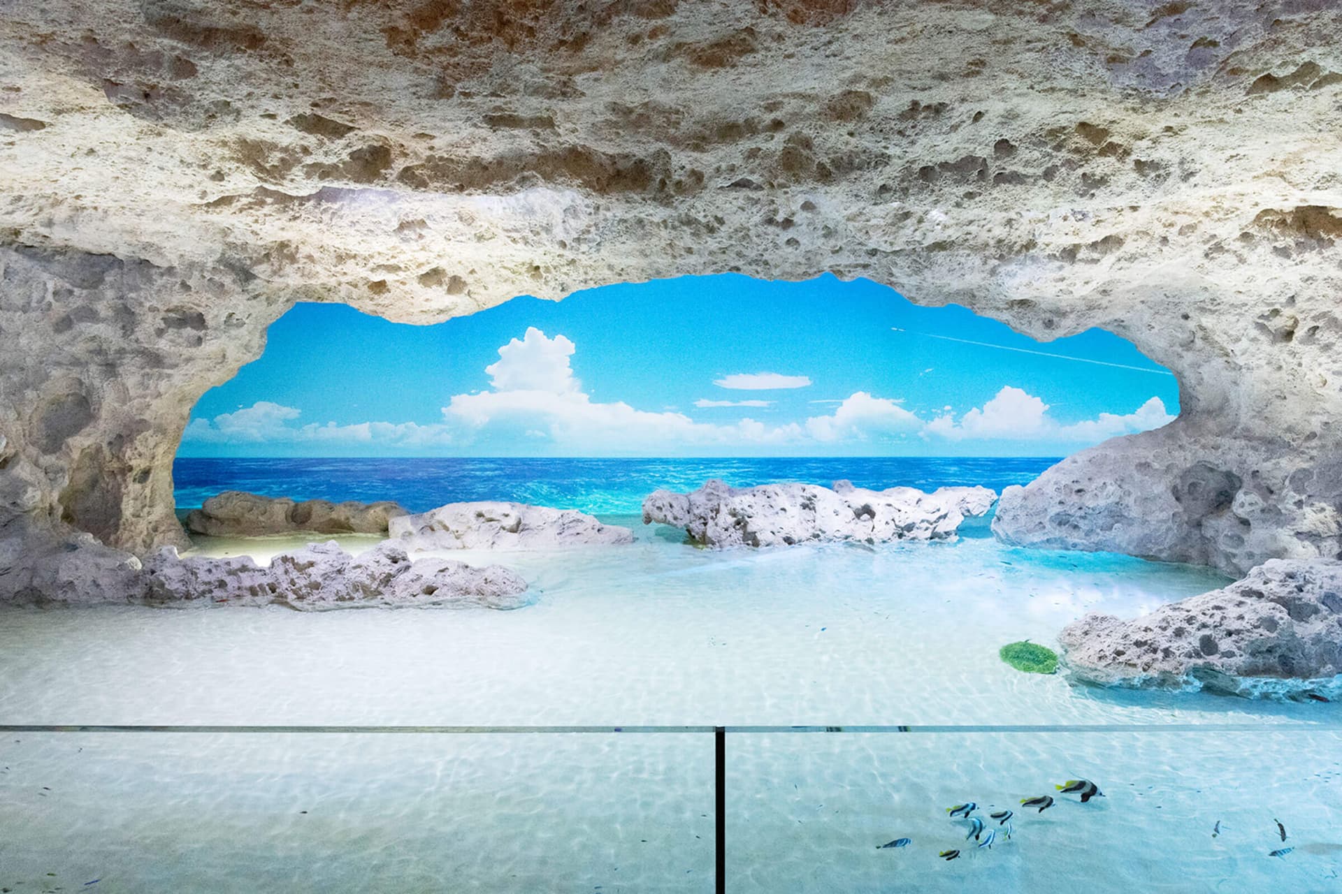 Okinawa DMM Kariyushi Aquarium - მთავარი სურათი