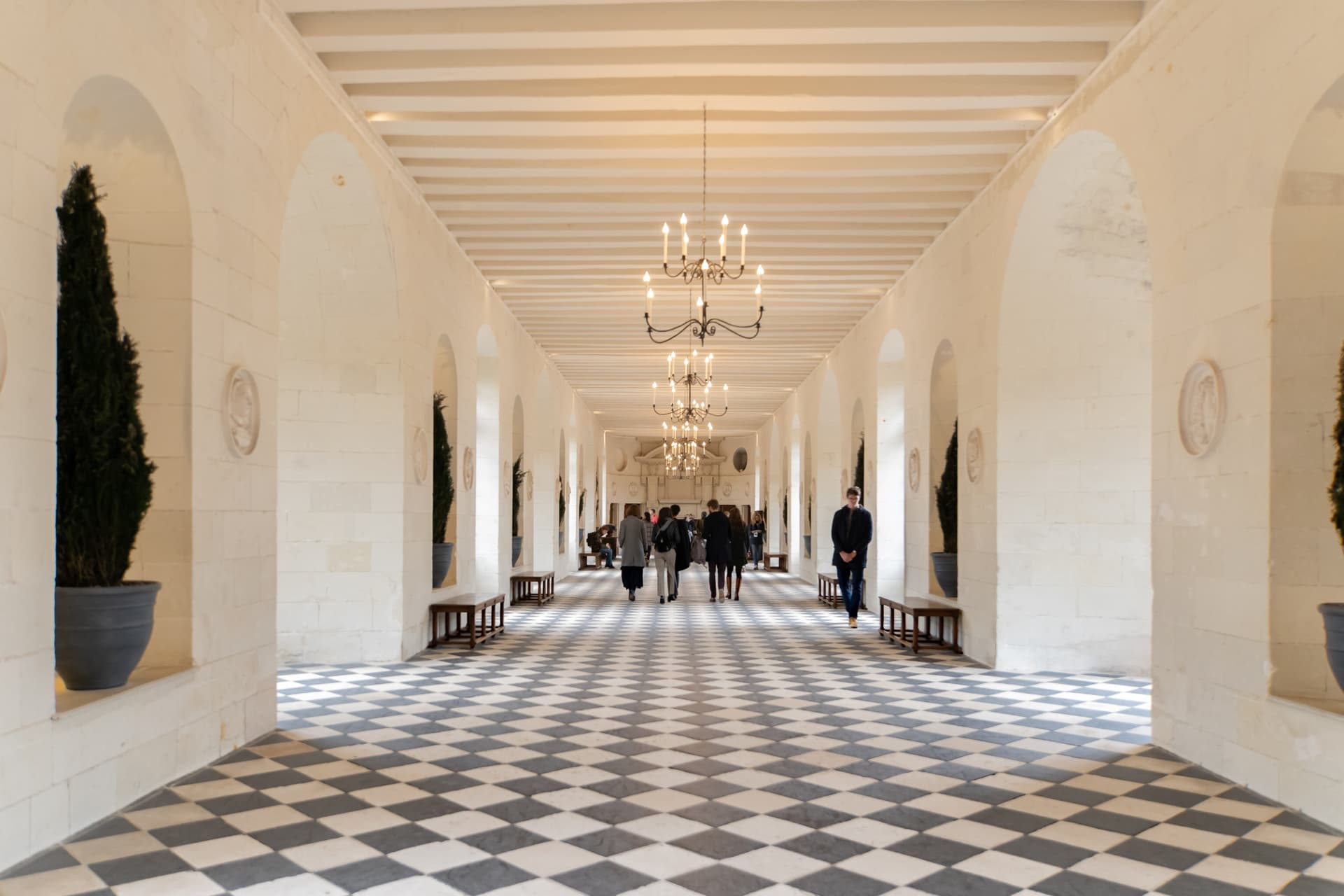 Loire Valley Tour from Paris: Chambord, Chenonceau, and Cheverny Castles - სურათი 17