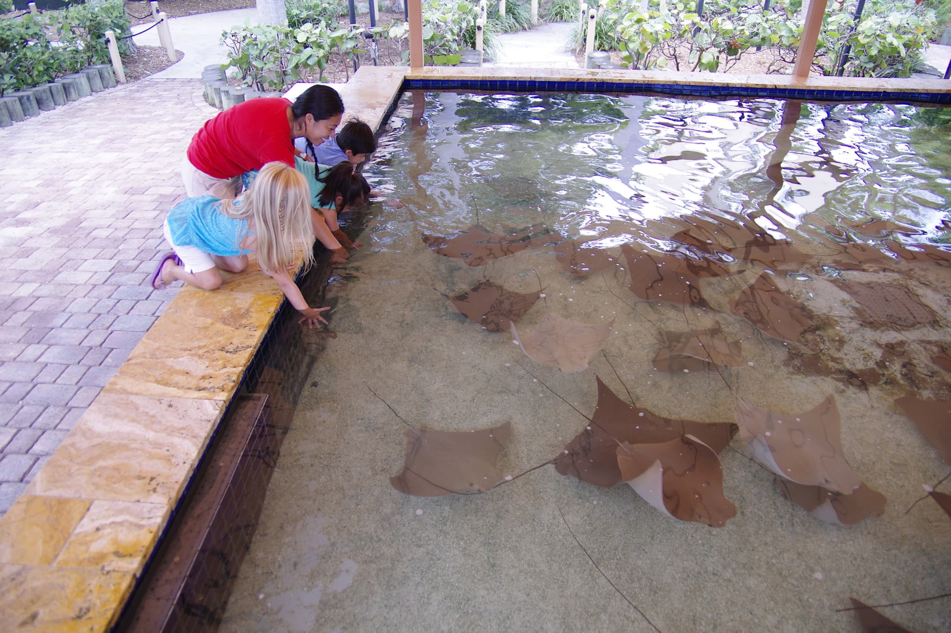 Go City Miami All-Inclusive Pass: Save up to 50% on Attractions - სურათი 26