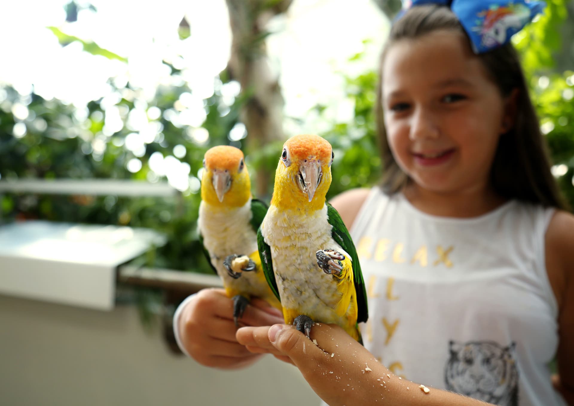 The Green Planet Dubai Ticket - სურათი 10