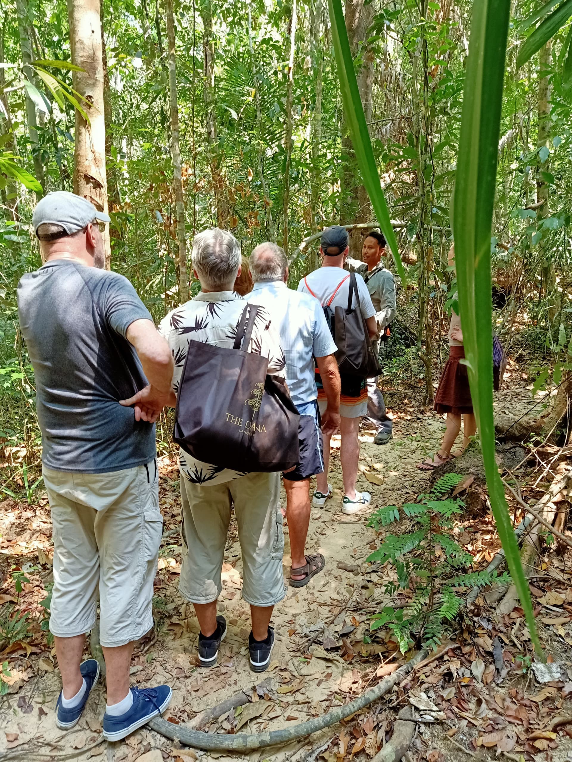 Langkawi Morning Rainforest Walking Tour - სურათი 8
