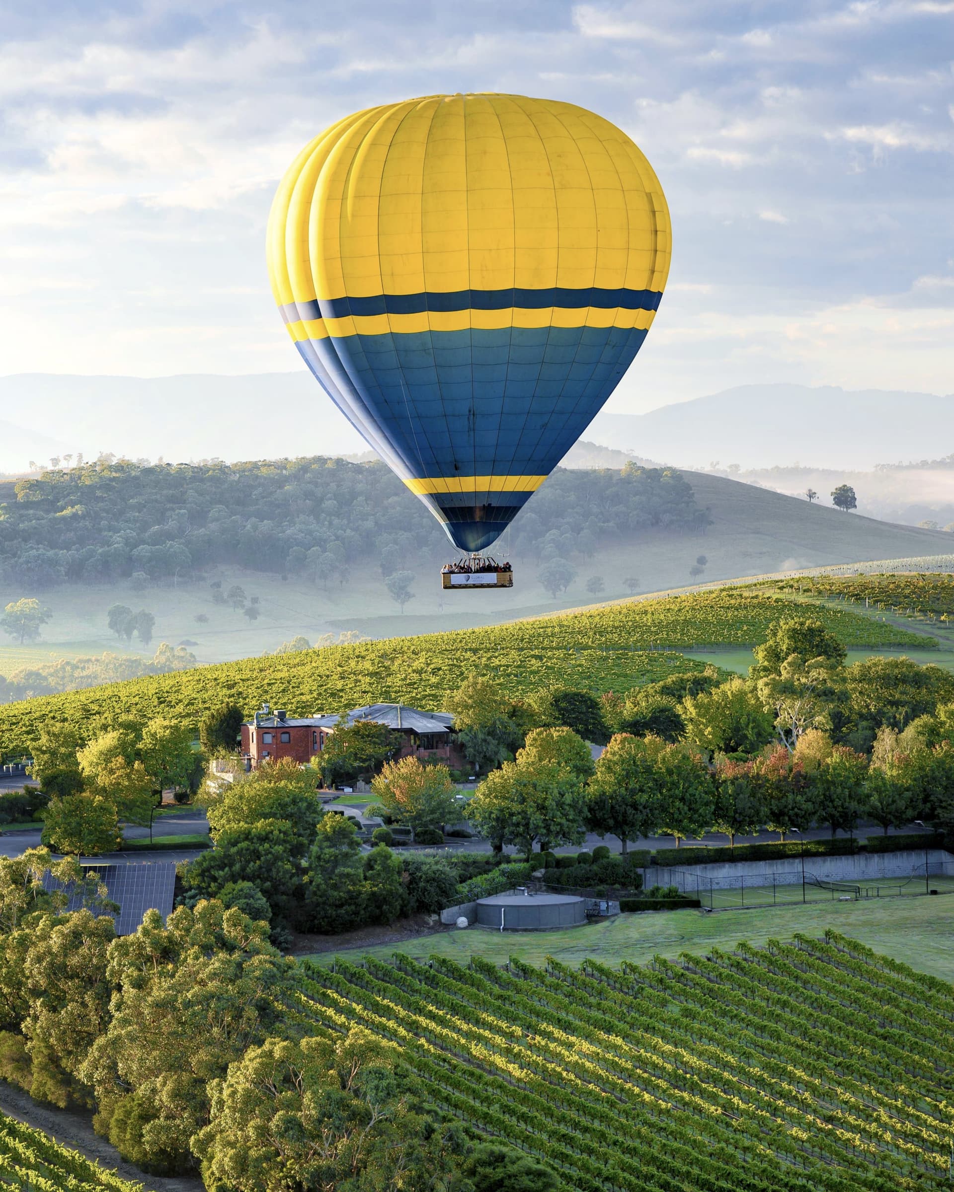 Sunrise Hot Air Balloon Flight over Yarra Valley with Photos - სურათი 8