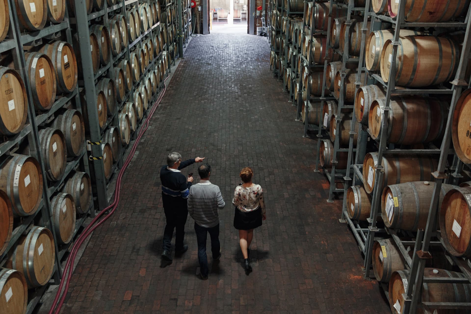 McLaren Vale and d’Arenberg Cube Wine Tasting Tour - სურათი 3