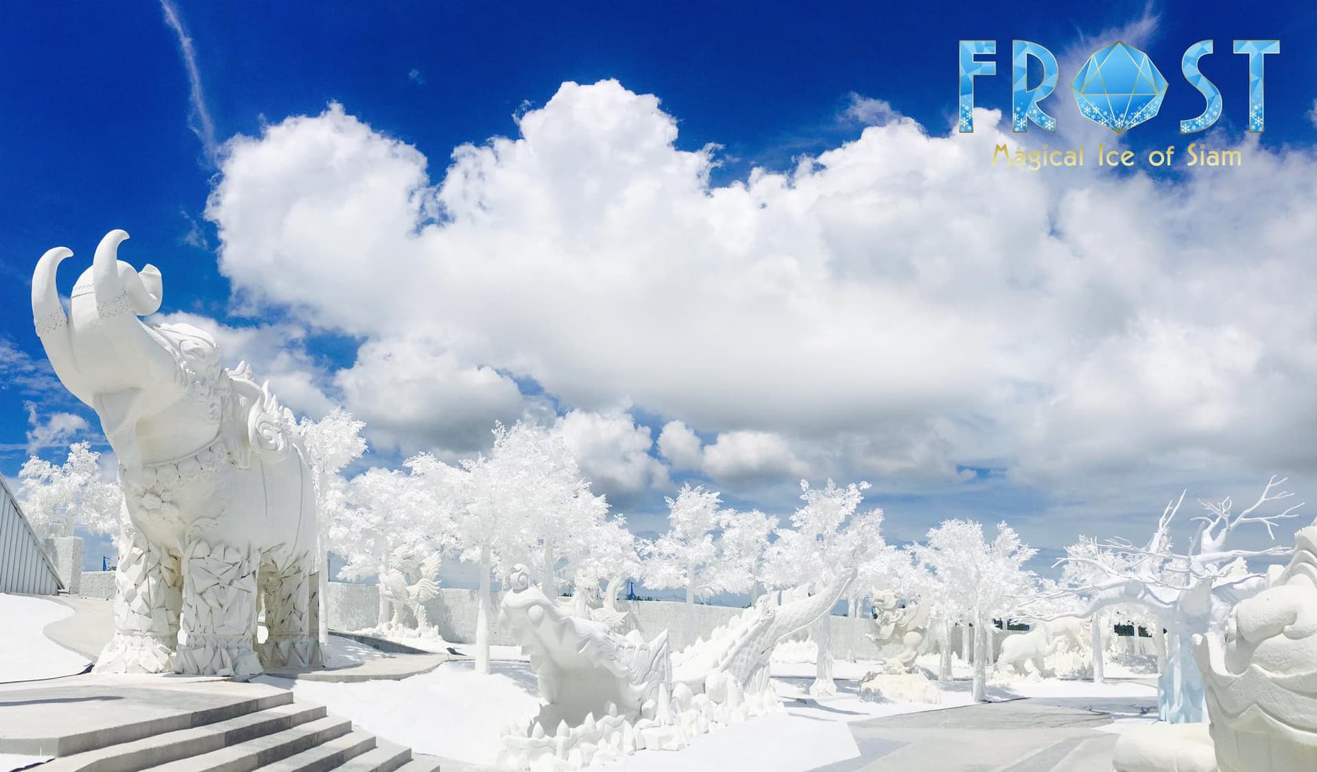 Frost Magical Ice of Siam - მთავარი სურათი