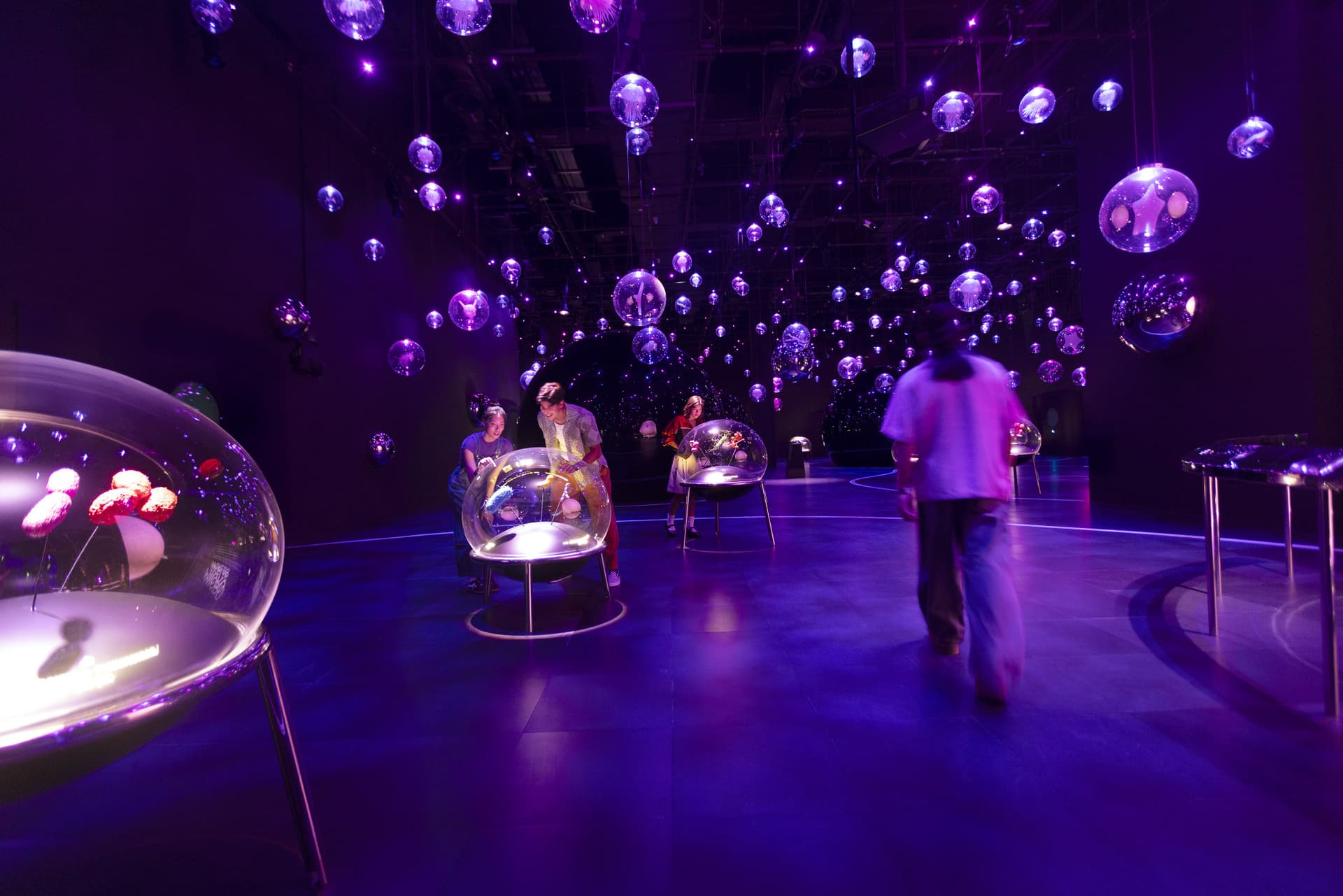 Exploria in Mandai Singapore Ticket - სურათი 6