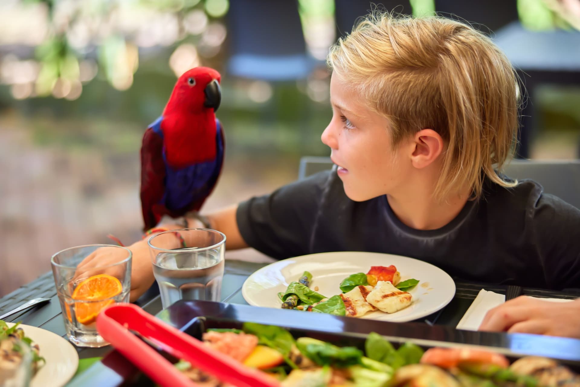 Wildlife Habitat Port Douglas Ticket - სურათი 5