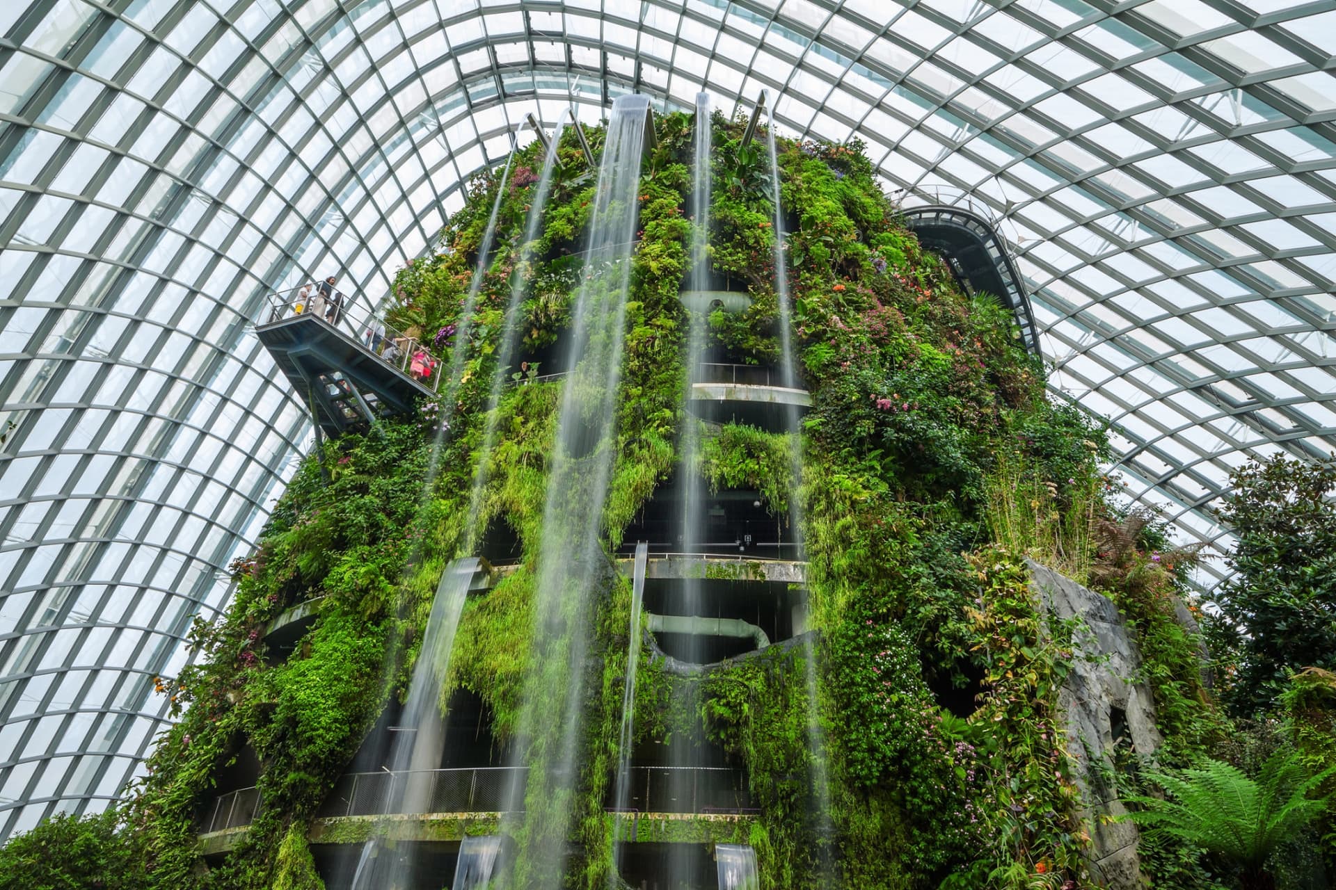 COMBO: Skyline Luge Singapore + Gardens by the Bay Ticket - სურათი 13
