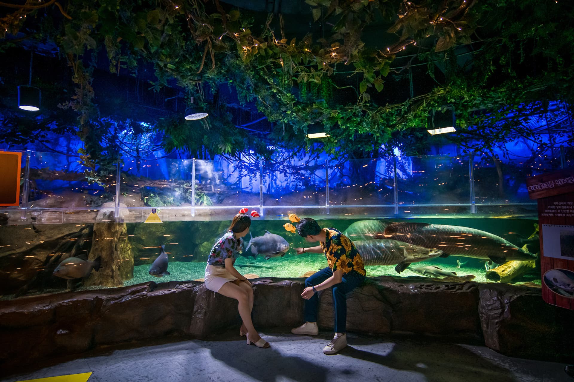SEA LIFE Busan Aquarium Ticket - სურათი 4