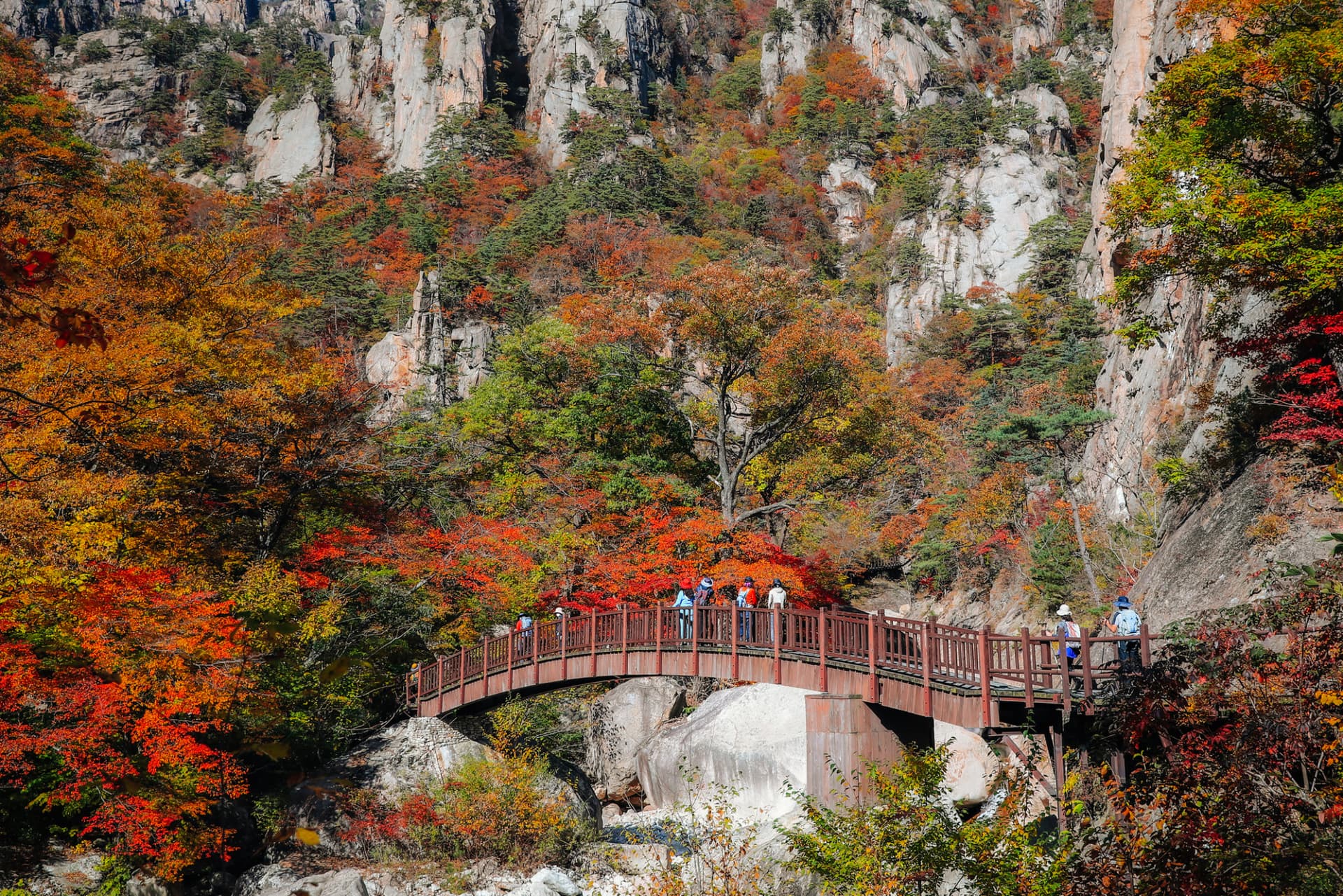Mt. Seorak National Park Autumn Foliage One Day Tour from Seoul - სურათი 3