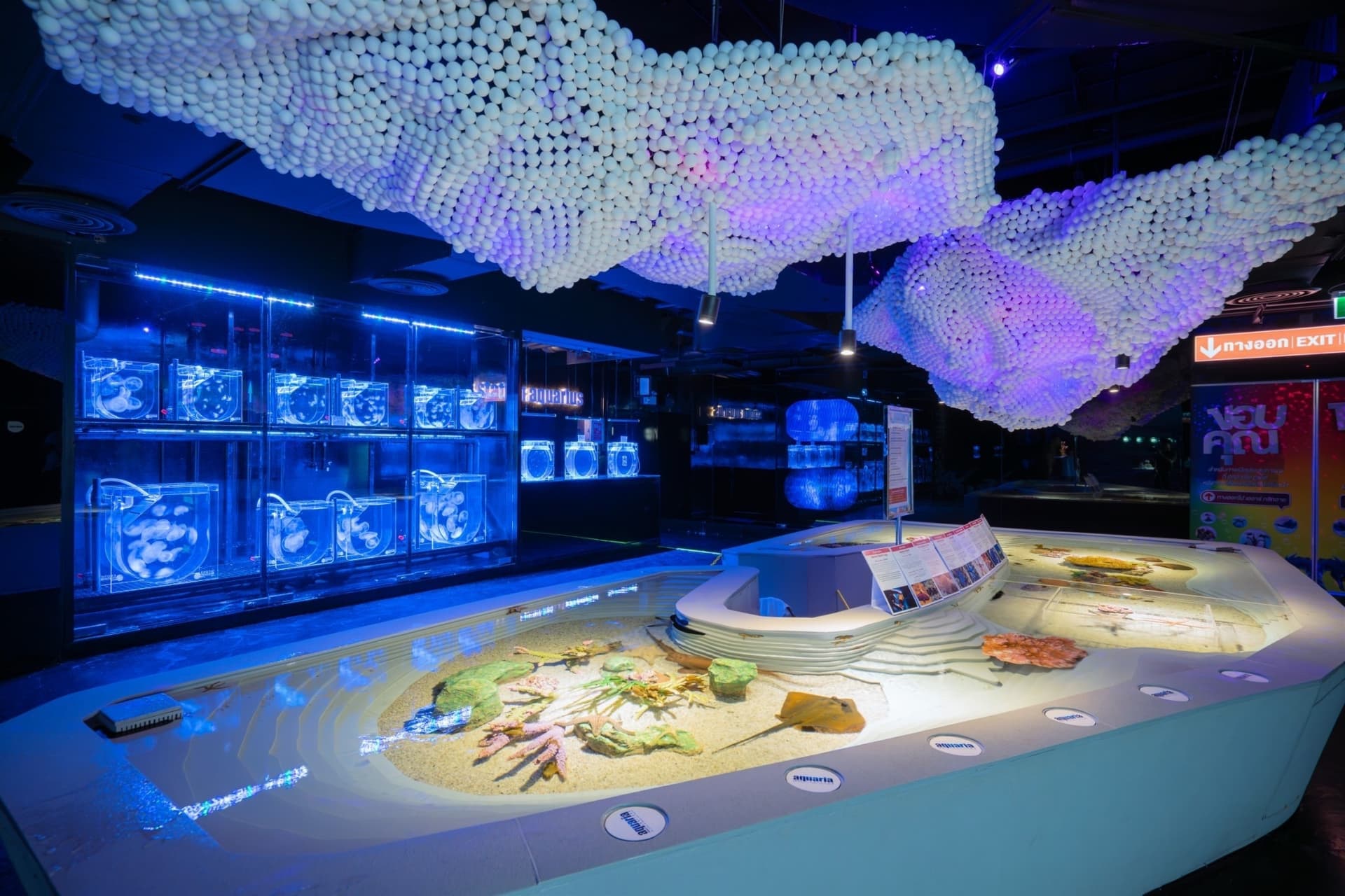Aquaria Phuket - სურათი 27