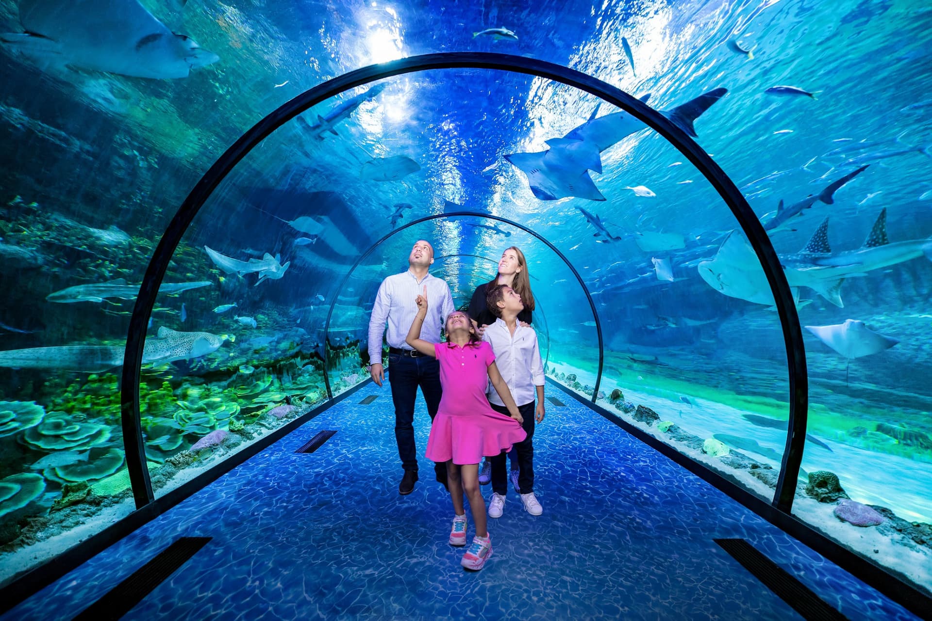 COMBO: The National Aquarium + Louvre Abu Dhabi Tickets - სურათი 3