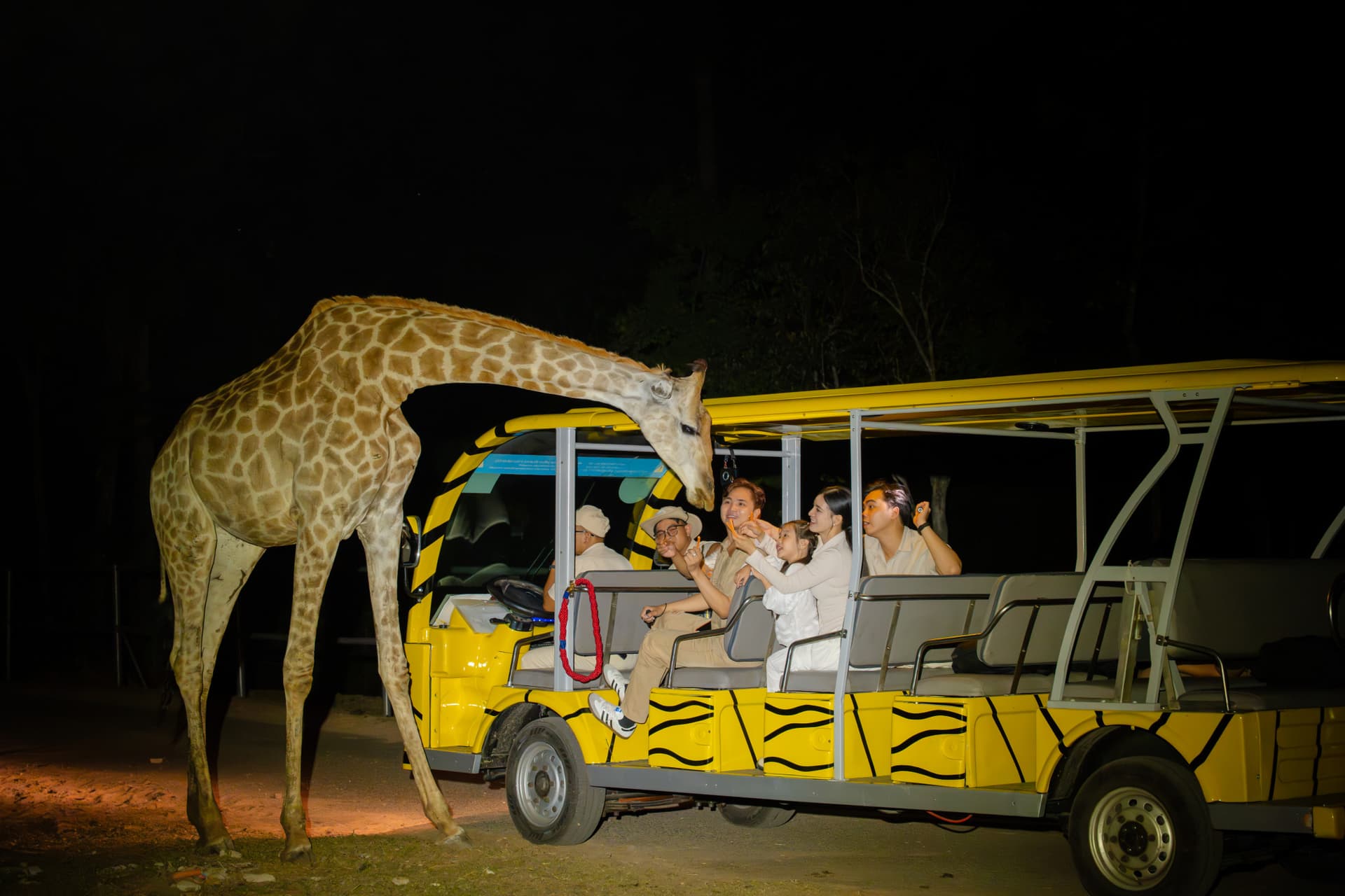 Vinpearl Safari Phu Quoc Ticket - სურათი 19