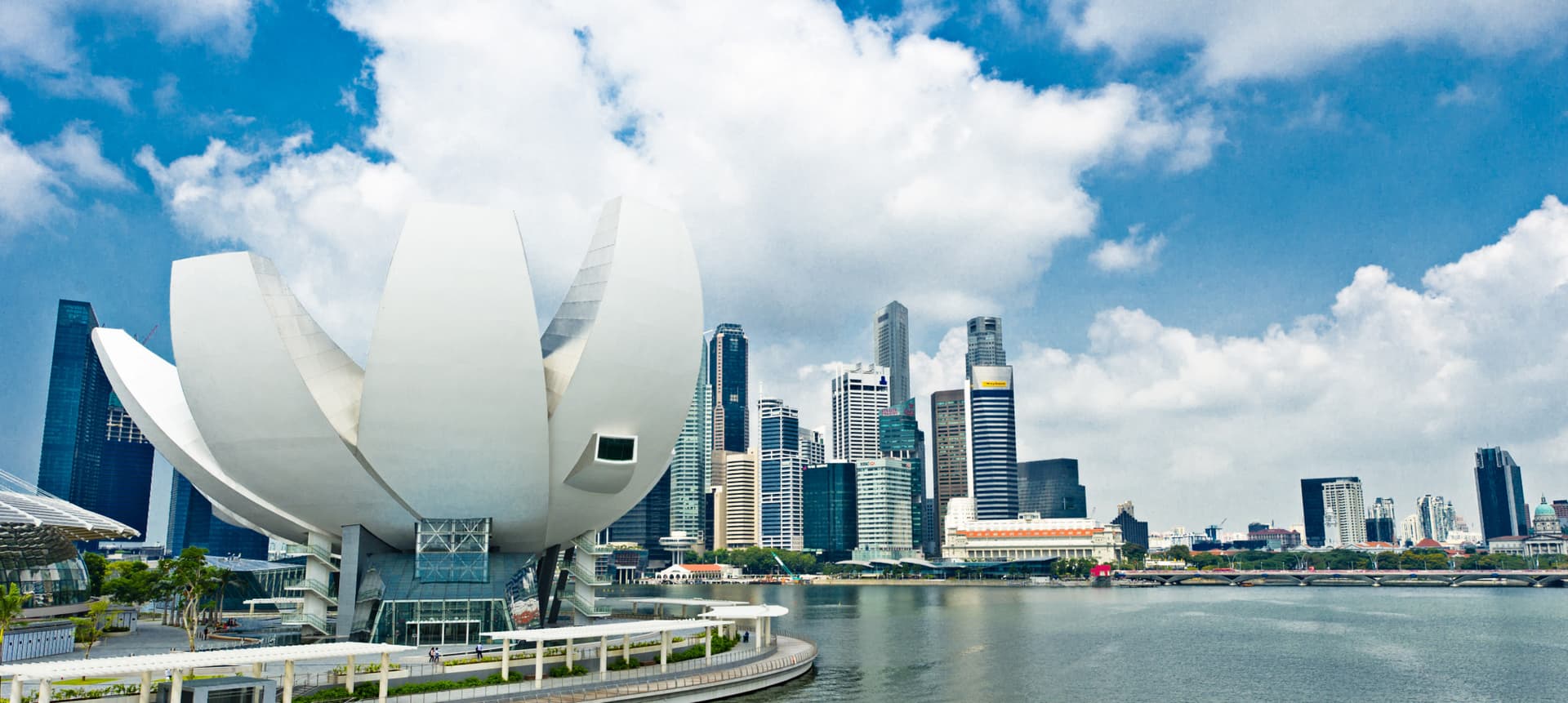 COMBO: Gardens by the Bay + Marina Bay Sands SkyPark Observation Deck + ArtScience Museum Tickets - სურათი 6