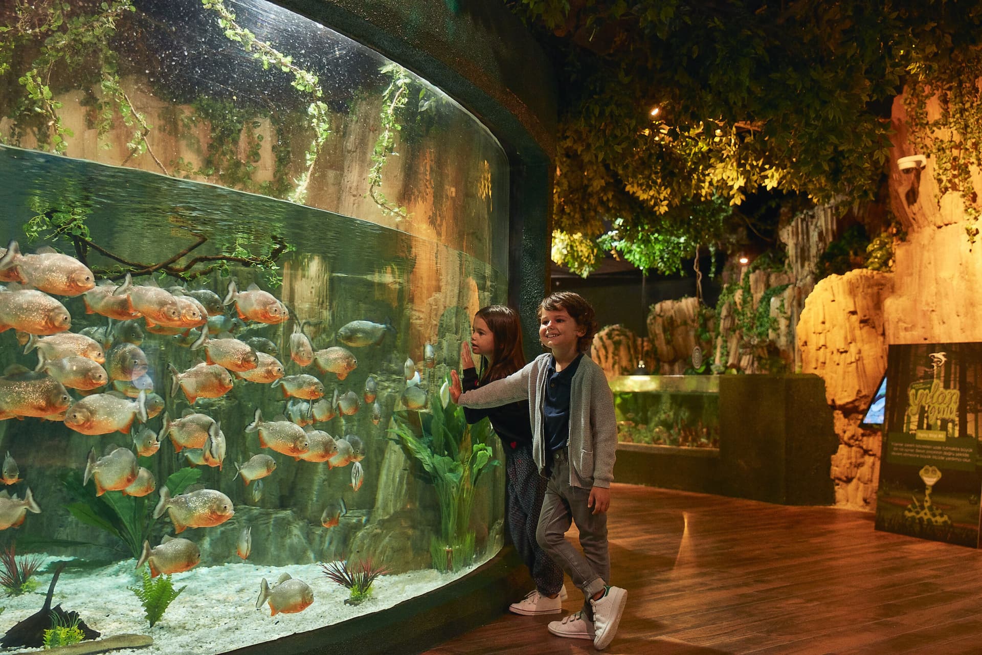 Emaar Aquarium and Underwater Zoo Ticket - მთავარი სურათი