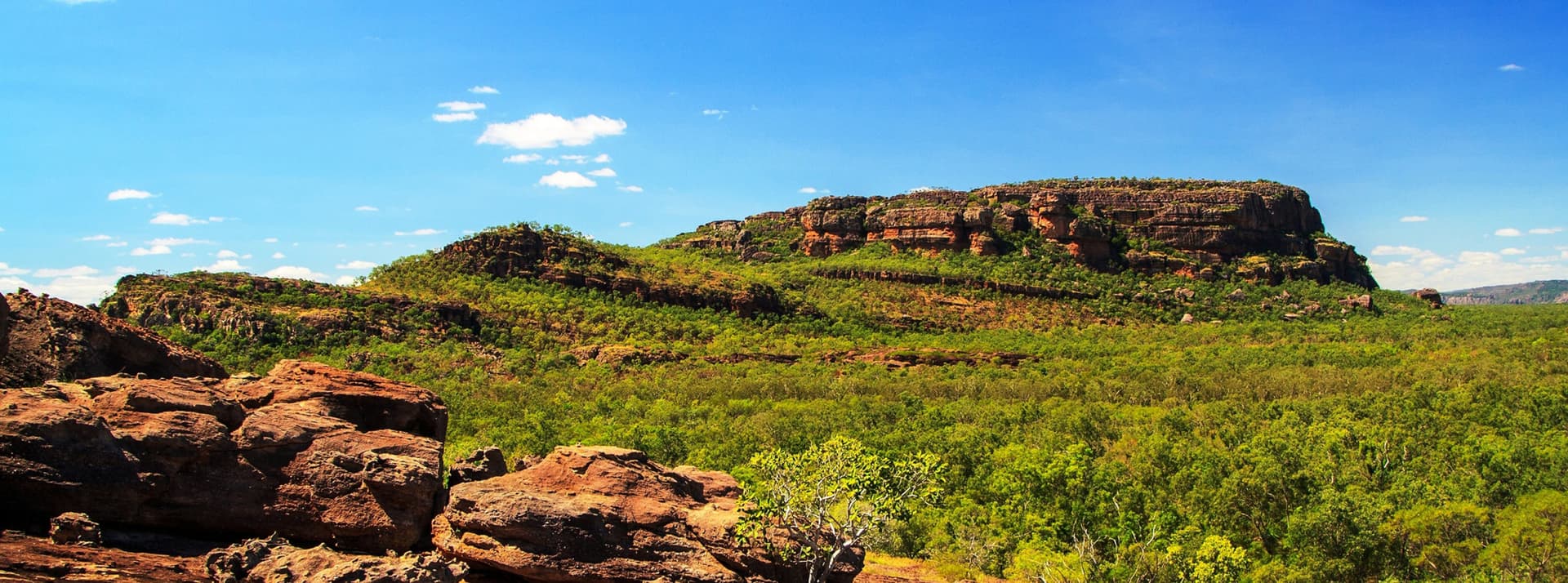 Kakadu National Park Tour from Darwin - სურათი 2