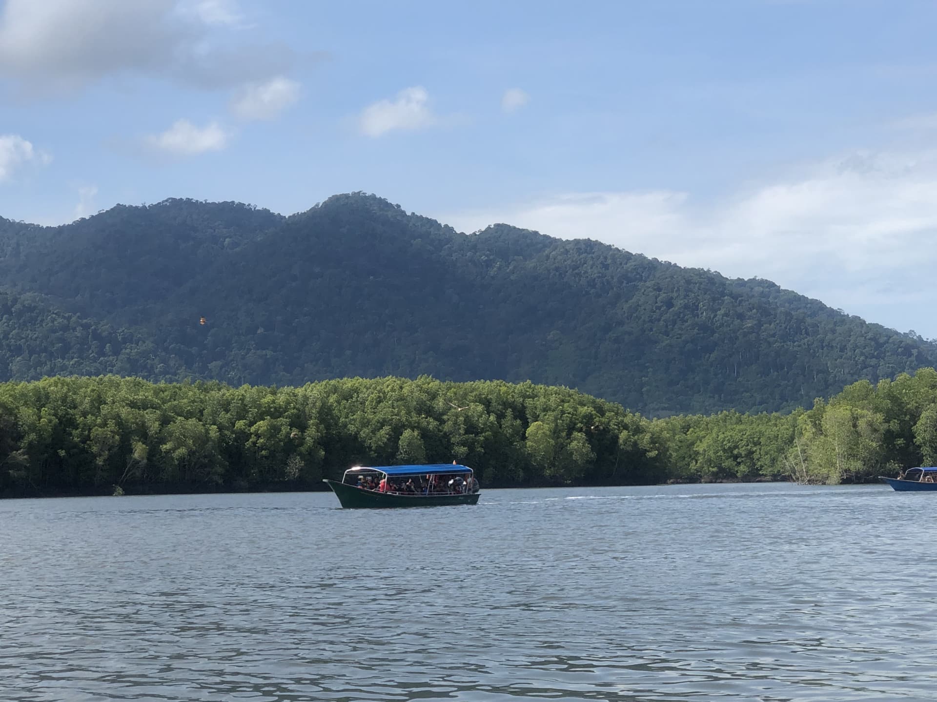 Langkawi UNESCO Global Geopark Mangrove Cruise - მთავარი სურათი