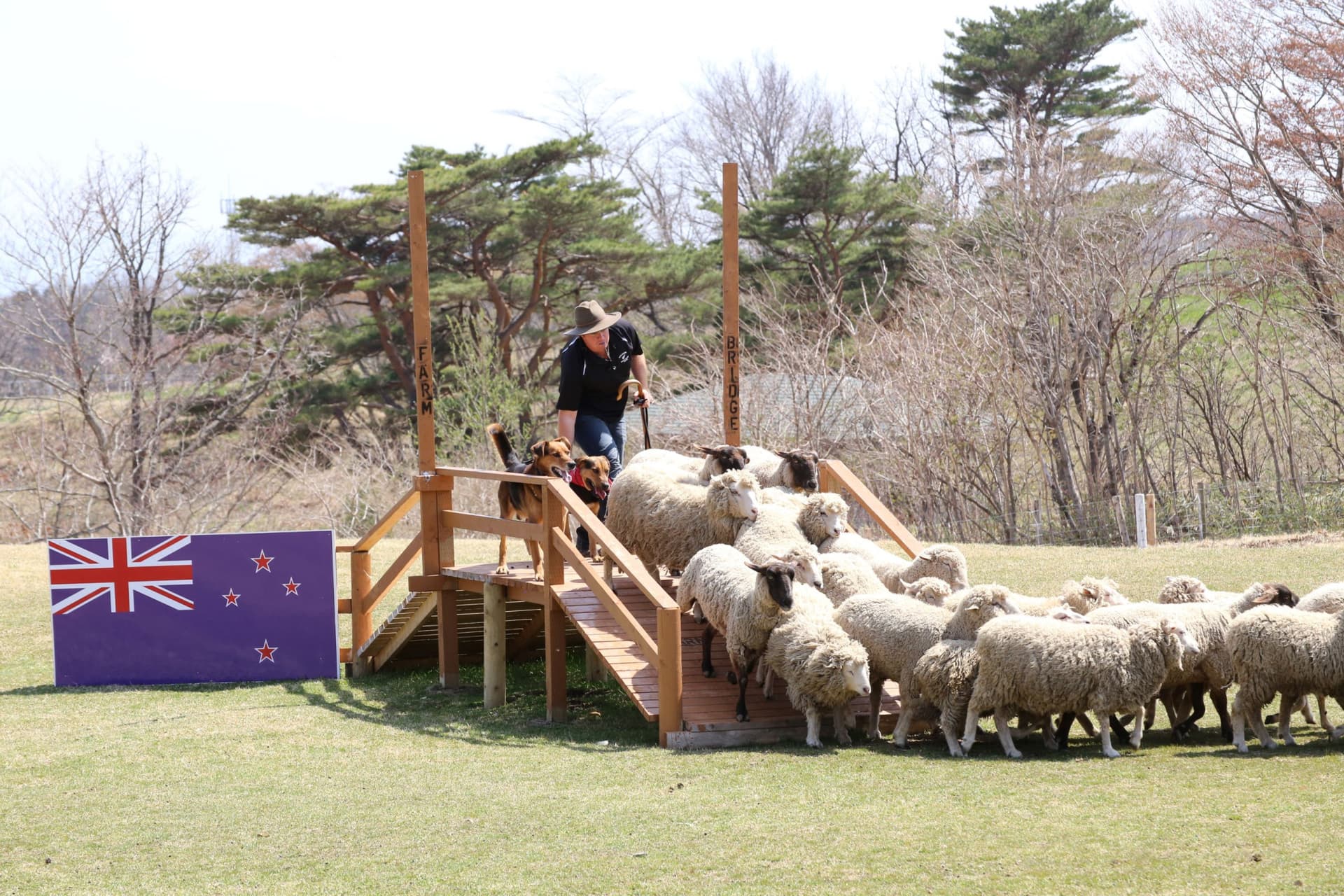 Nasu Animal Kingdom Ticket - სურათი 6