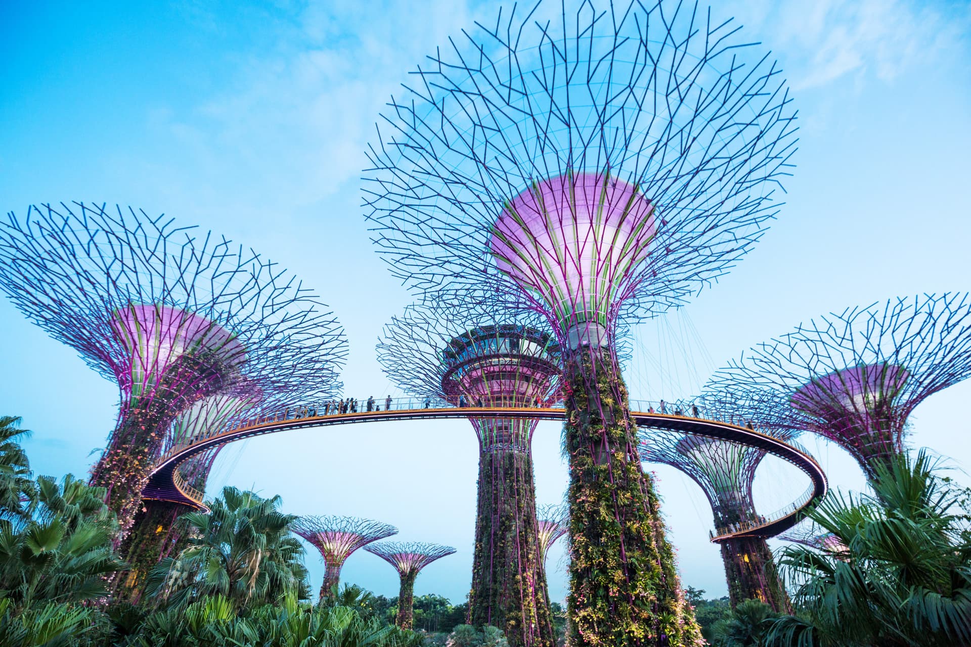 Go City Singapore Essentials Pass: 3 Attractions - სურათი 5