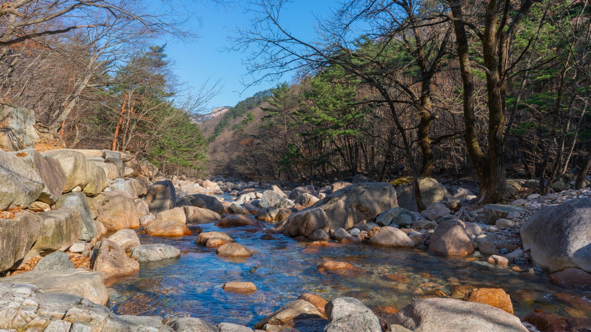 Mount Seorak and Naksansa Temple Tour from Seoul - სურათი 4