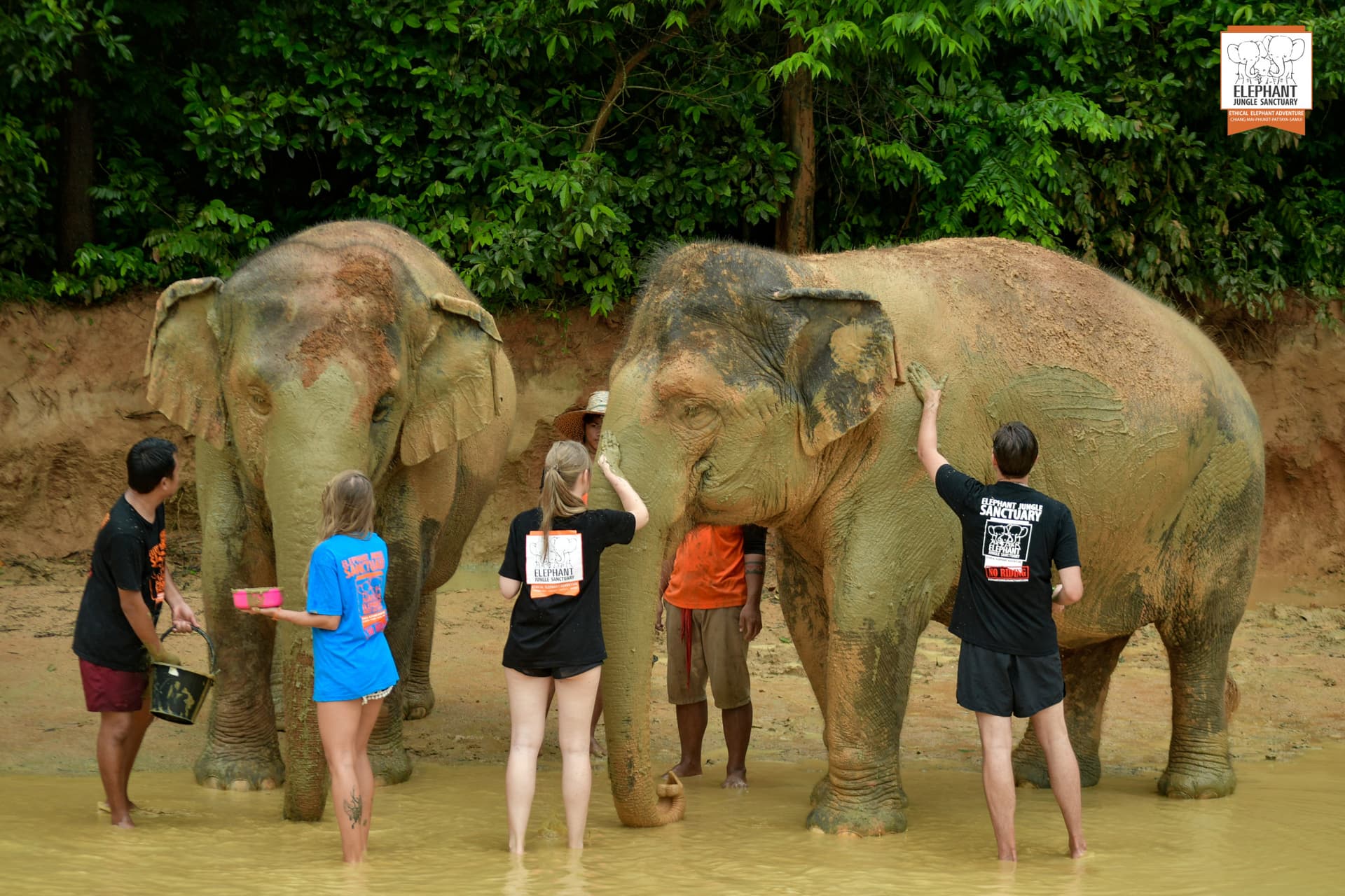 Elephant Jungle Sanctuary Phuket - სურათი 5