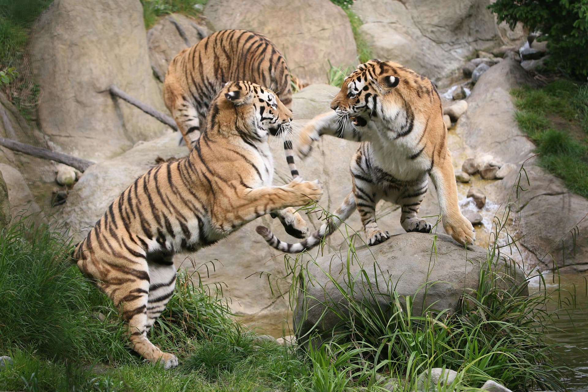Go City Dublin Explorer Pass: Save up to 50% on Attractions - სურათი 39