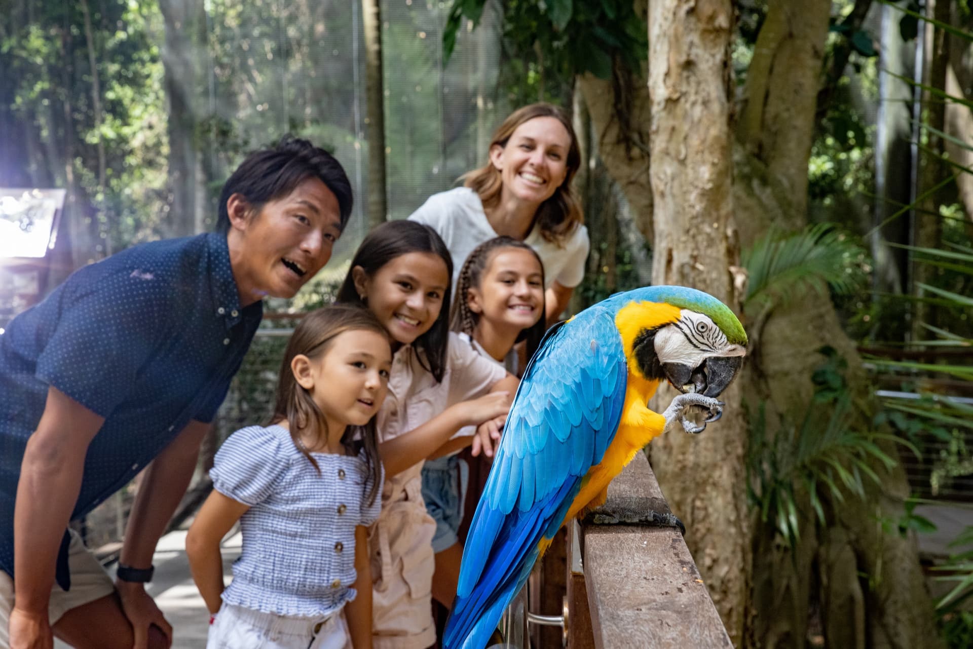Currumbin Wildlife Sanctuary Gold Coast Ticket - სურათი 12