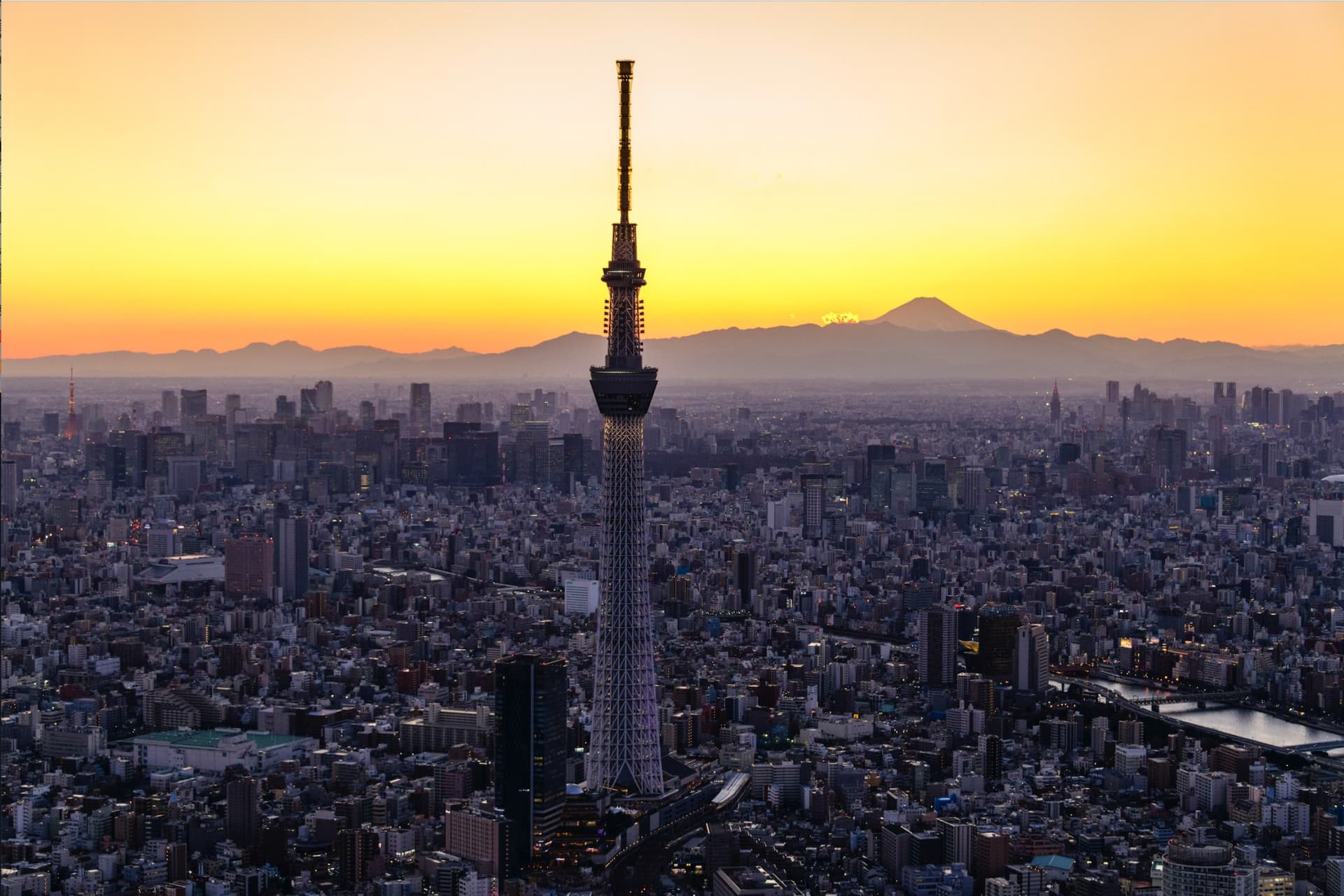 COMBO: Tokyo Skytree + Sumida Aquarium - მთავარი სურათი
