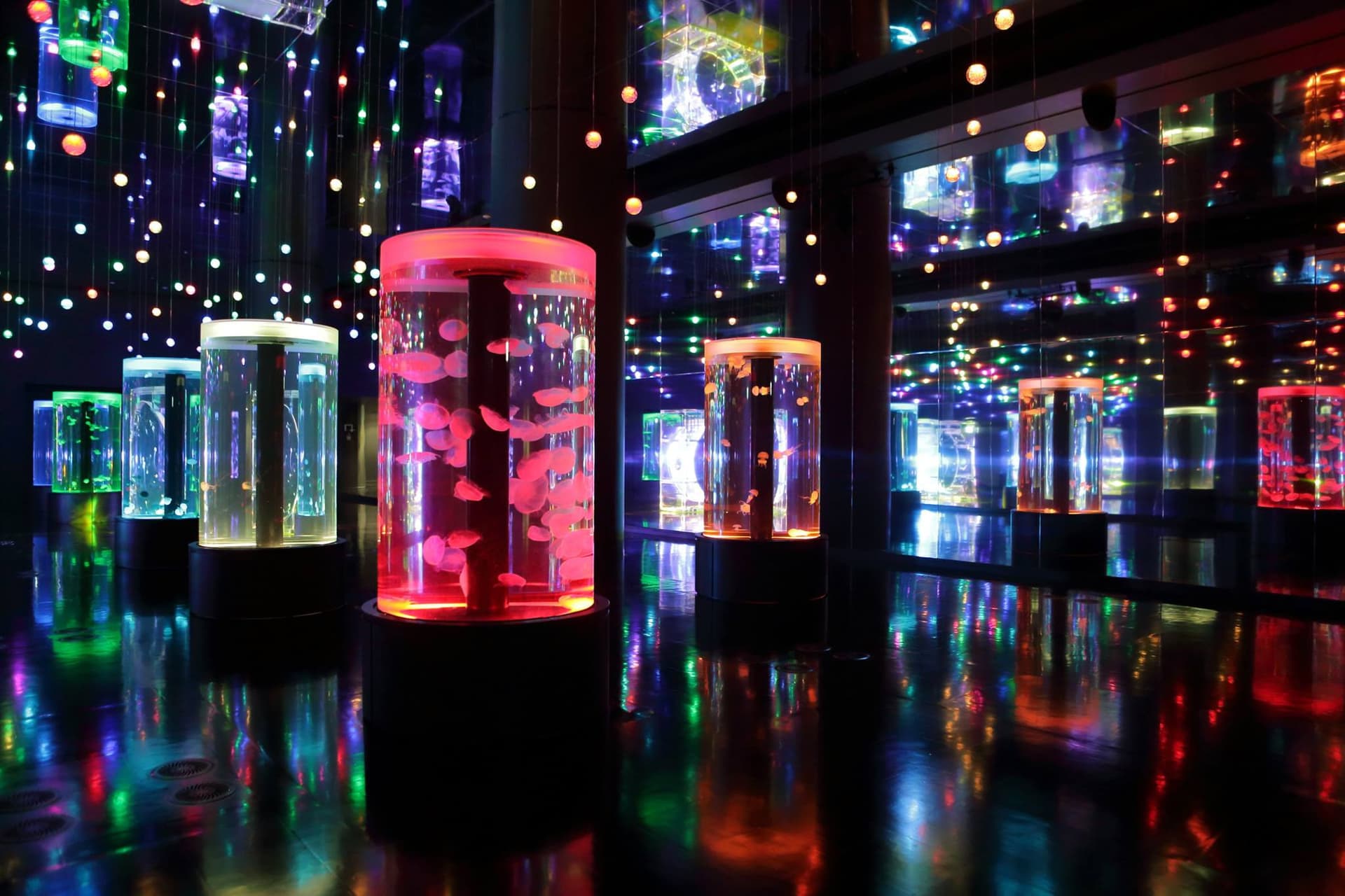 Maxell Aqua Park Shinagawa - სურათი 3