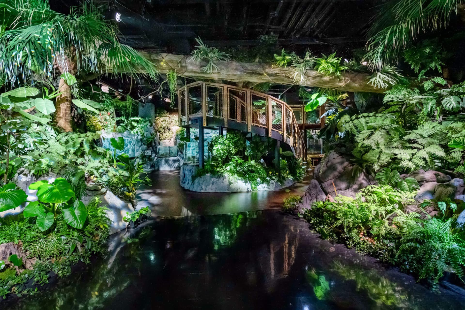 Okinawa DMM Kariyushi Aquarium - სურათი 4