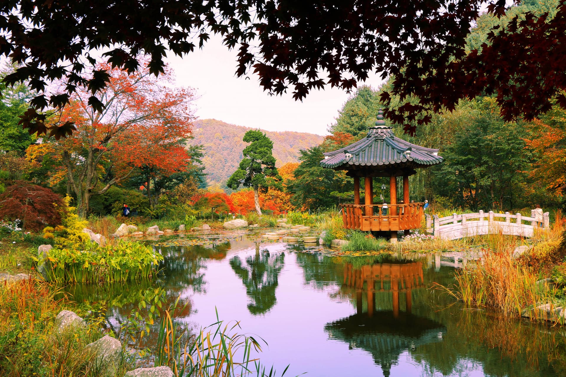 Nami Island and Garden of Morning Calm Tour from Seoul - სურათი 2