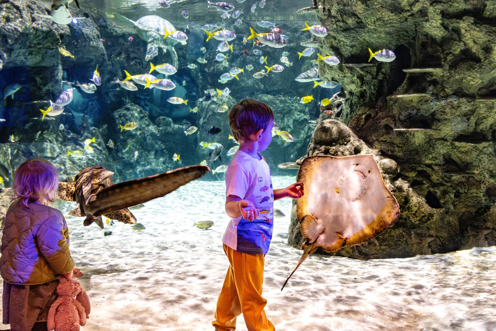 SEA LIFE Brighton Ticket - სურათი 4