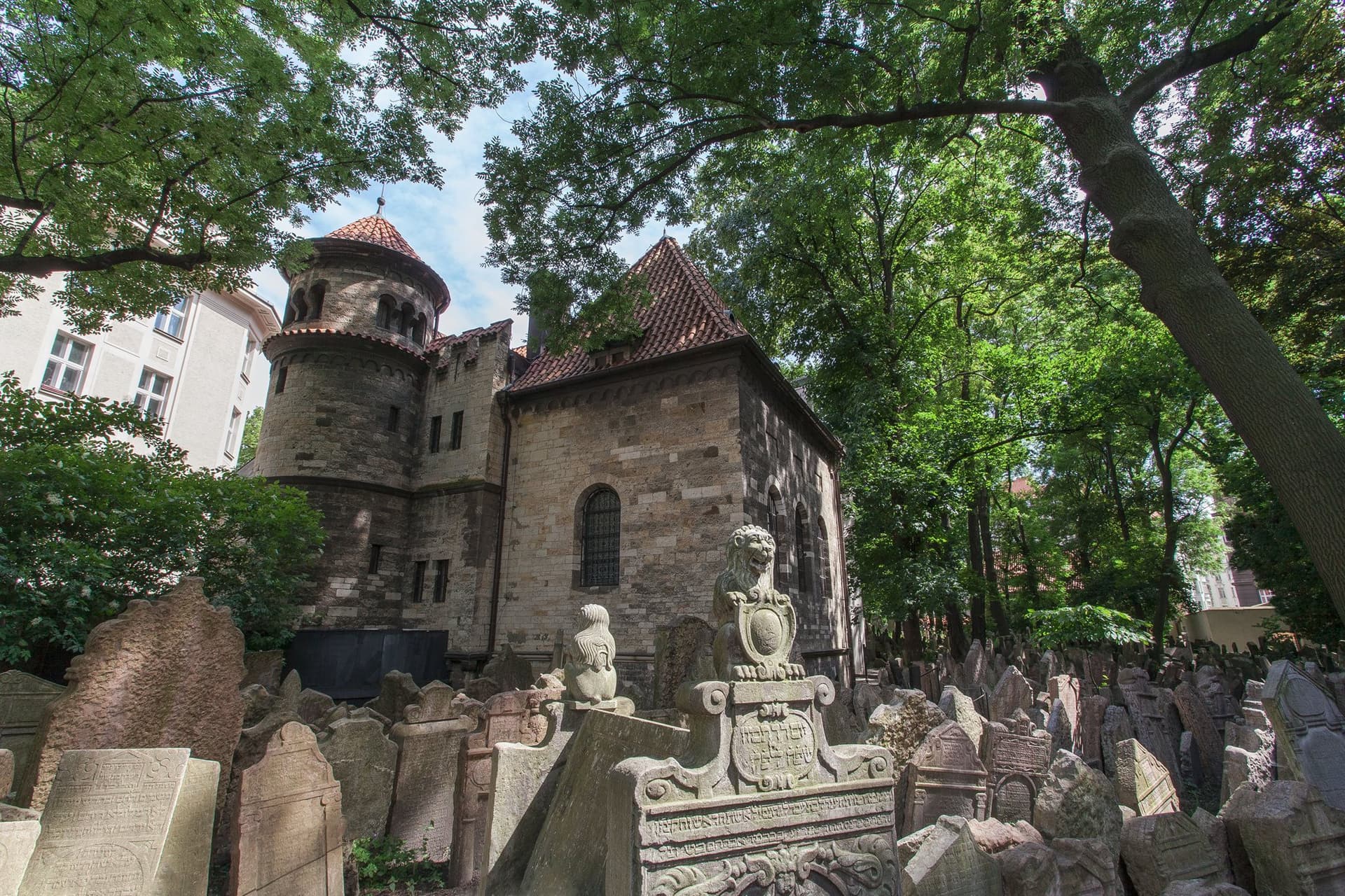 Go City Prague All-Inclusive Pass: Save up to 50% on Attractions - სურათი 37