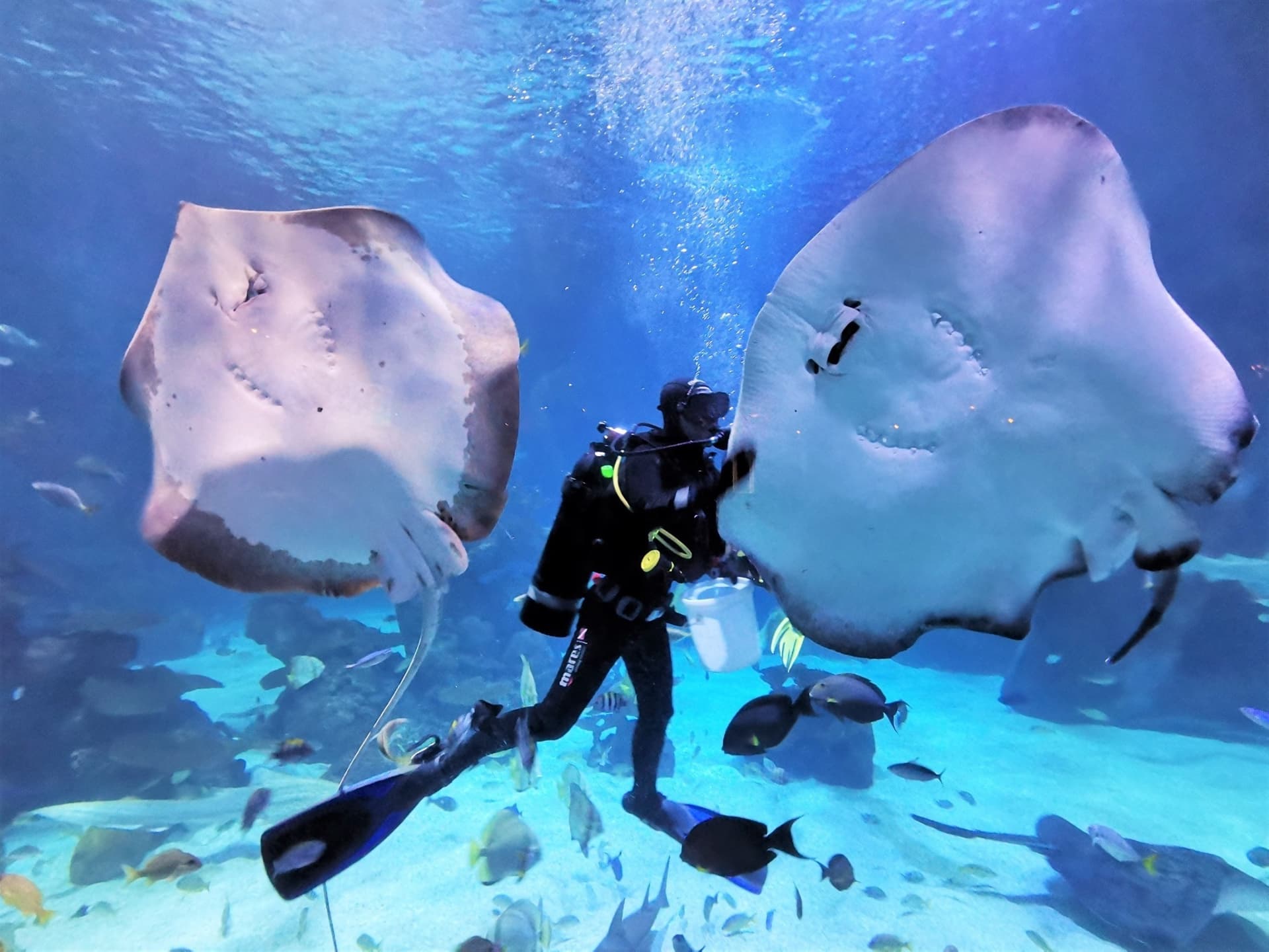 Aquaria Phuket - სურათი 29